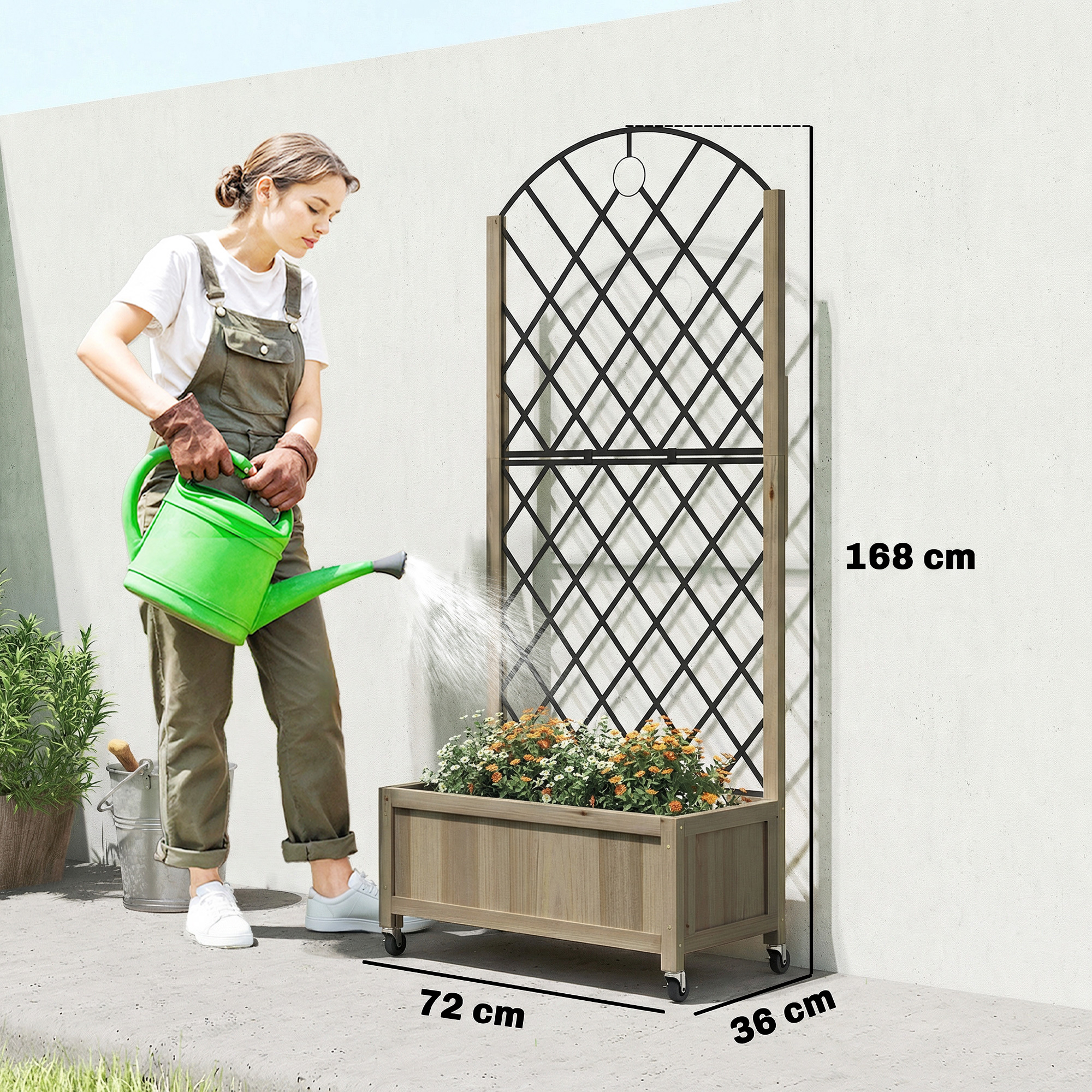 Una mujer riega una planta en una jardinera de madera con enrejado. Se muestran dimensiones.