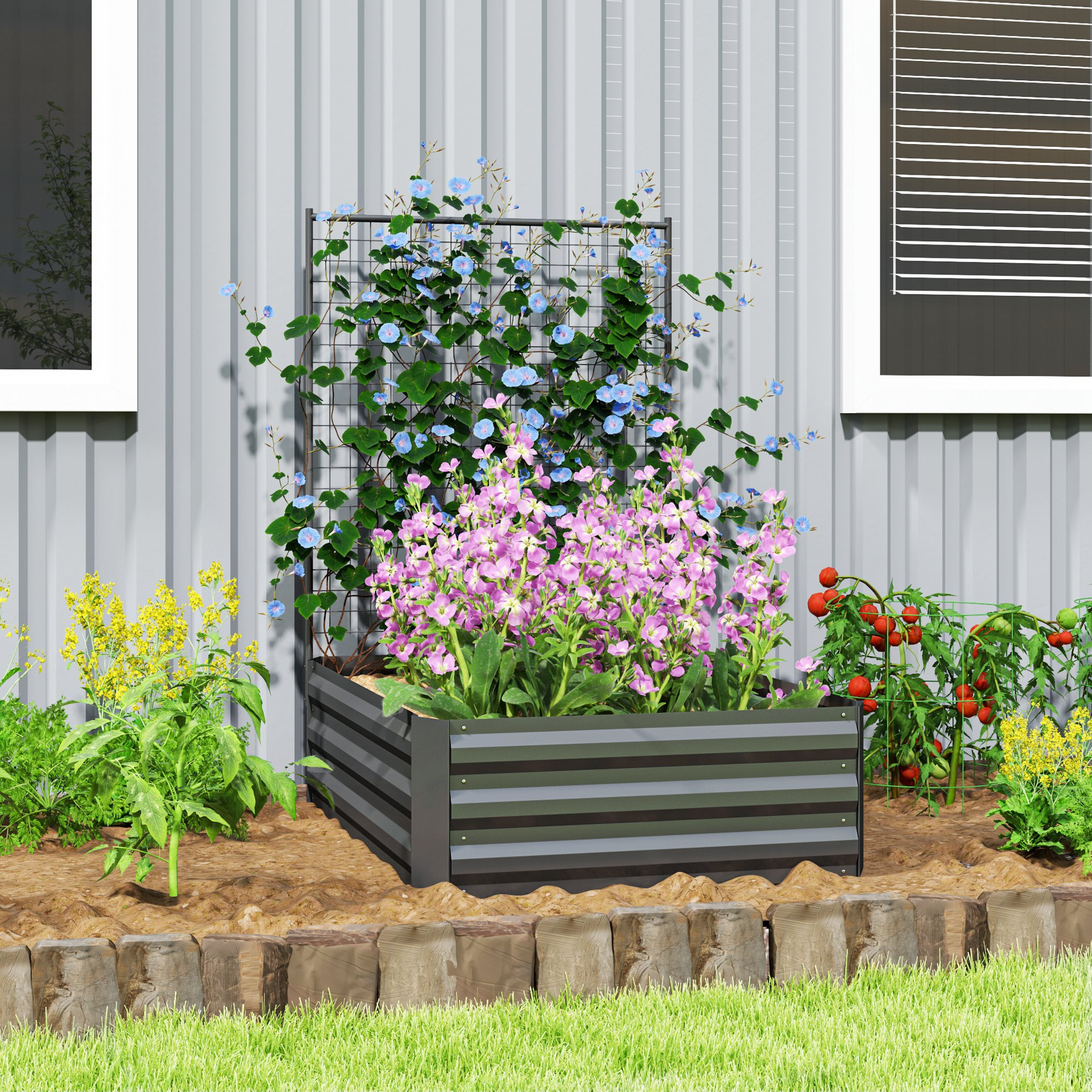 Un bancal elevado con flores moradas y azules junto a plantas de tomate.