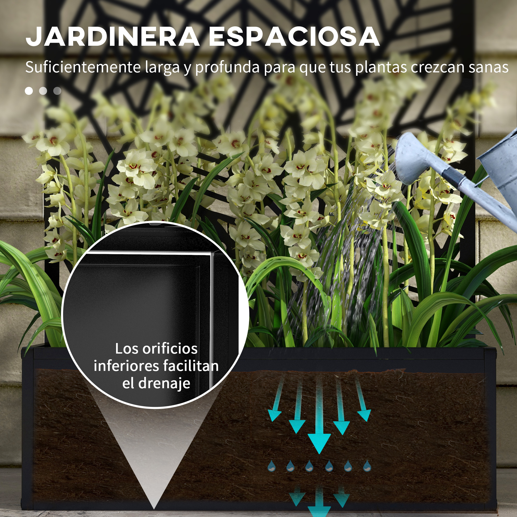 Una regadera vierte agua sobre una planta en un macetero negro con ilustración de drenaje.