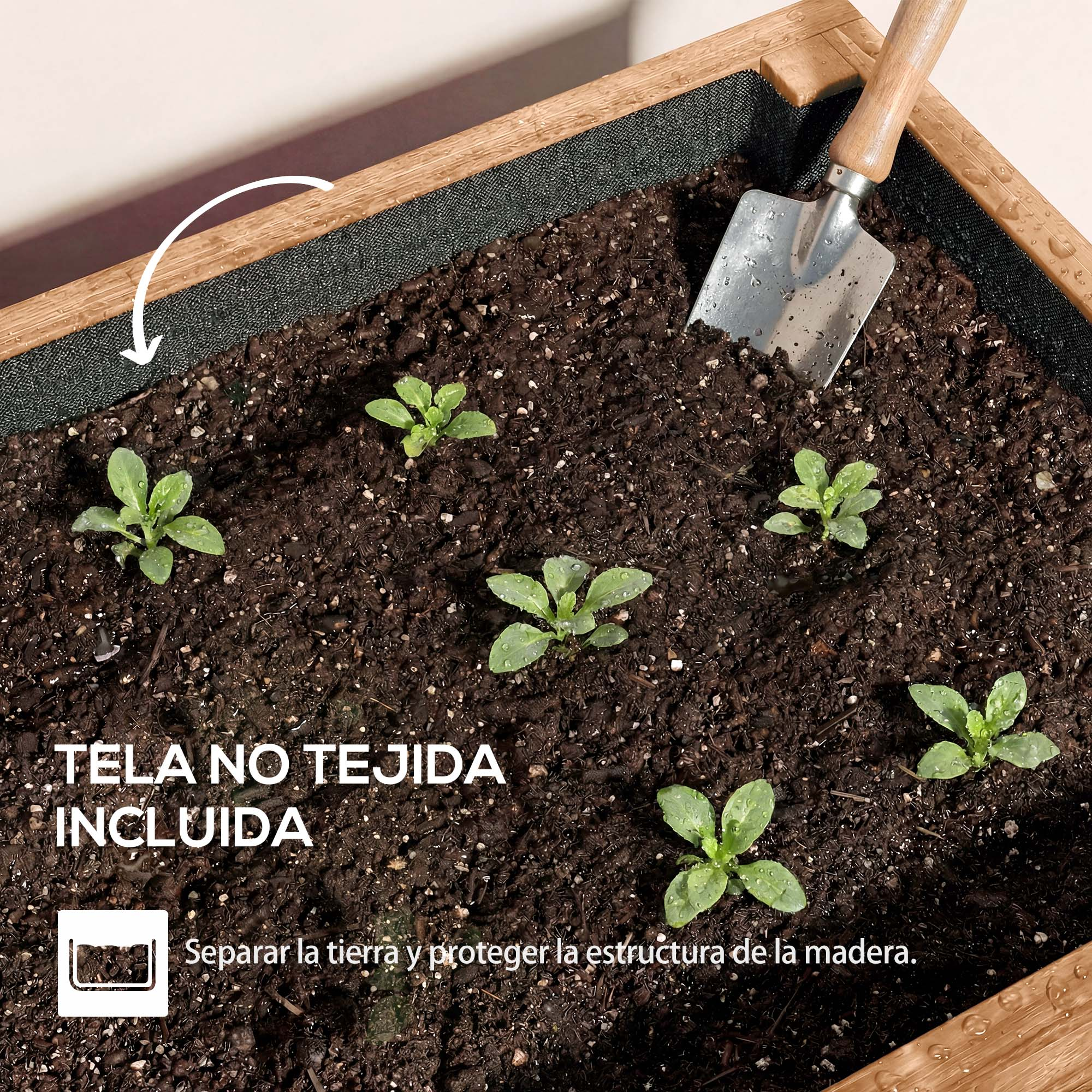 Plantas pequeñas en tierra con una pala en un bancal de madera.