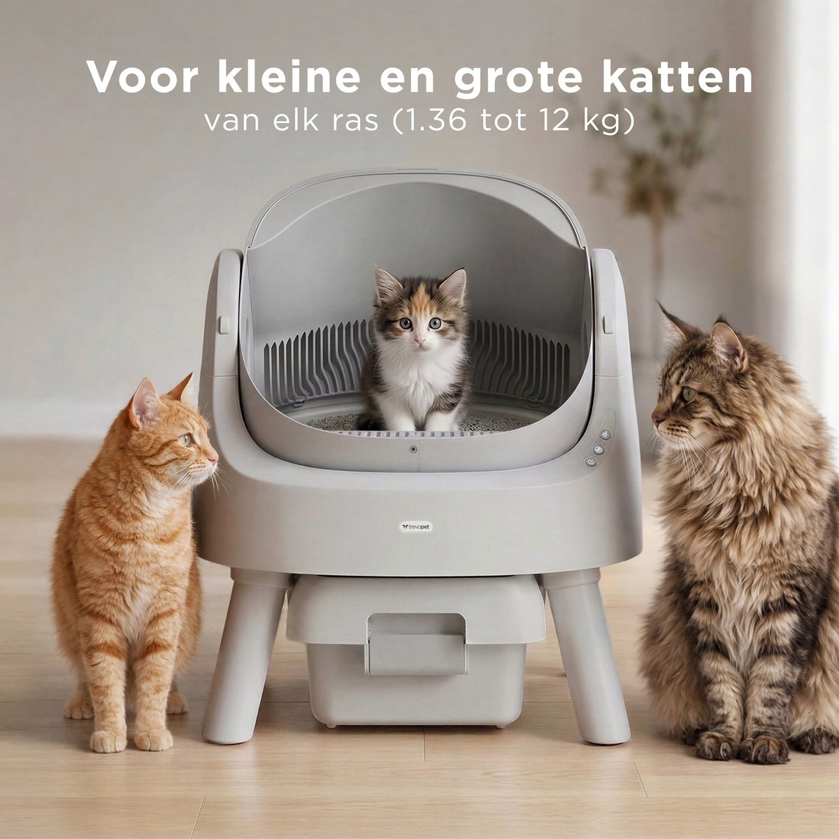 Een oranje kat, een kitten en een Maine Coon zitten naast een automatische kattenbak.