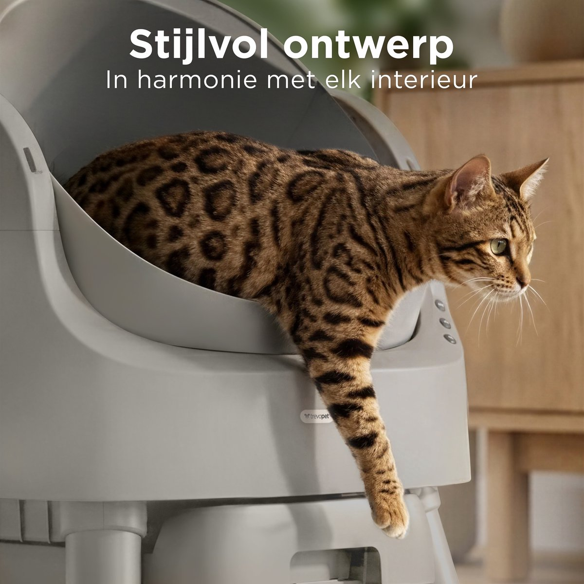 Een cyperse kat stapt uit een grijze automatische kattenbak.