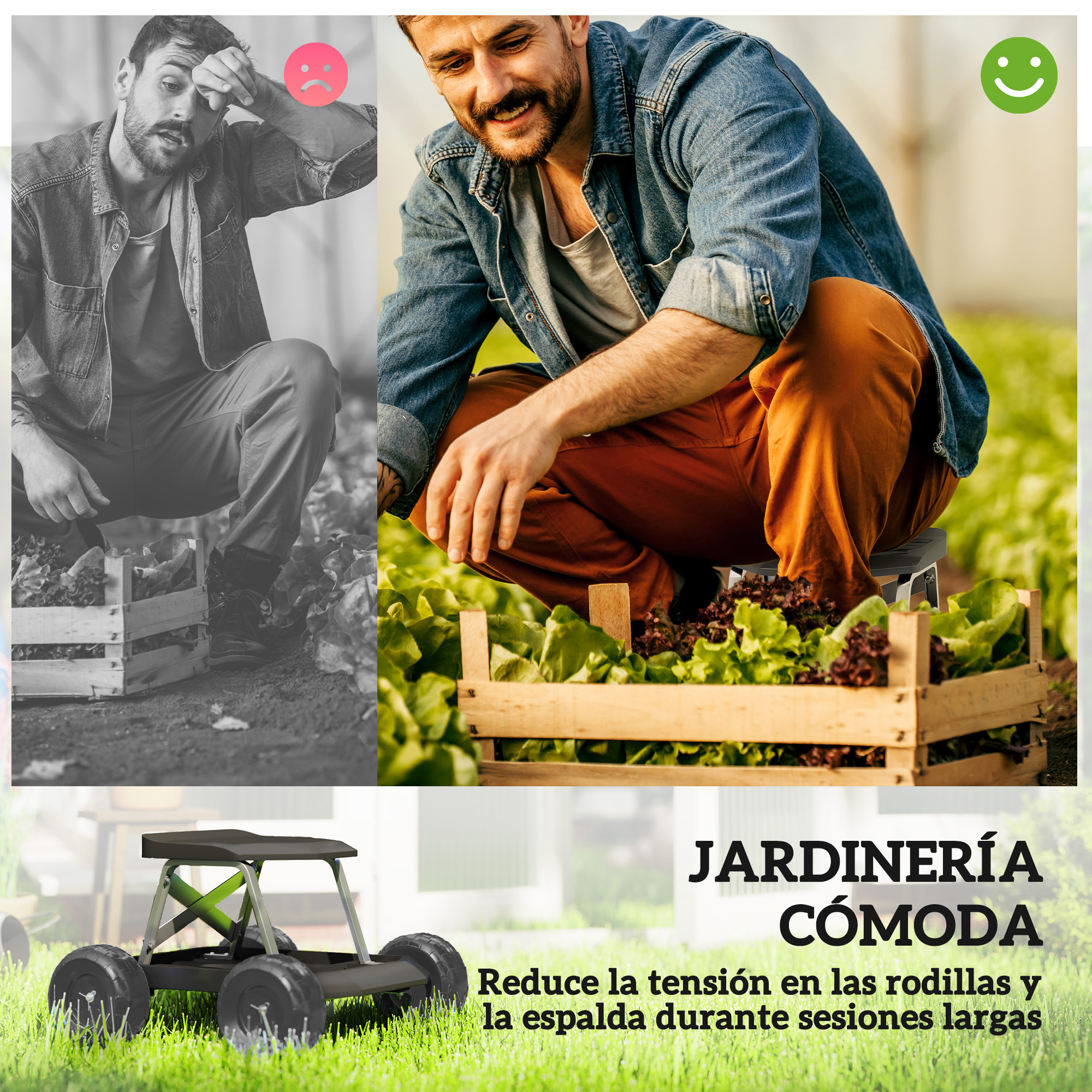 Hombre arrodillado en invernadero junto a caja de lechuga. Imagen dividida muestra hombre cansado.
