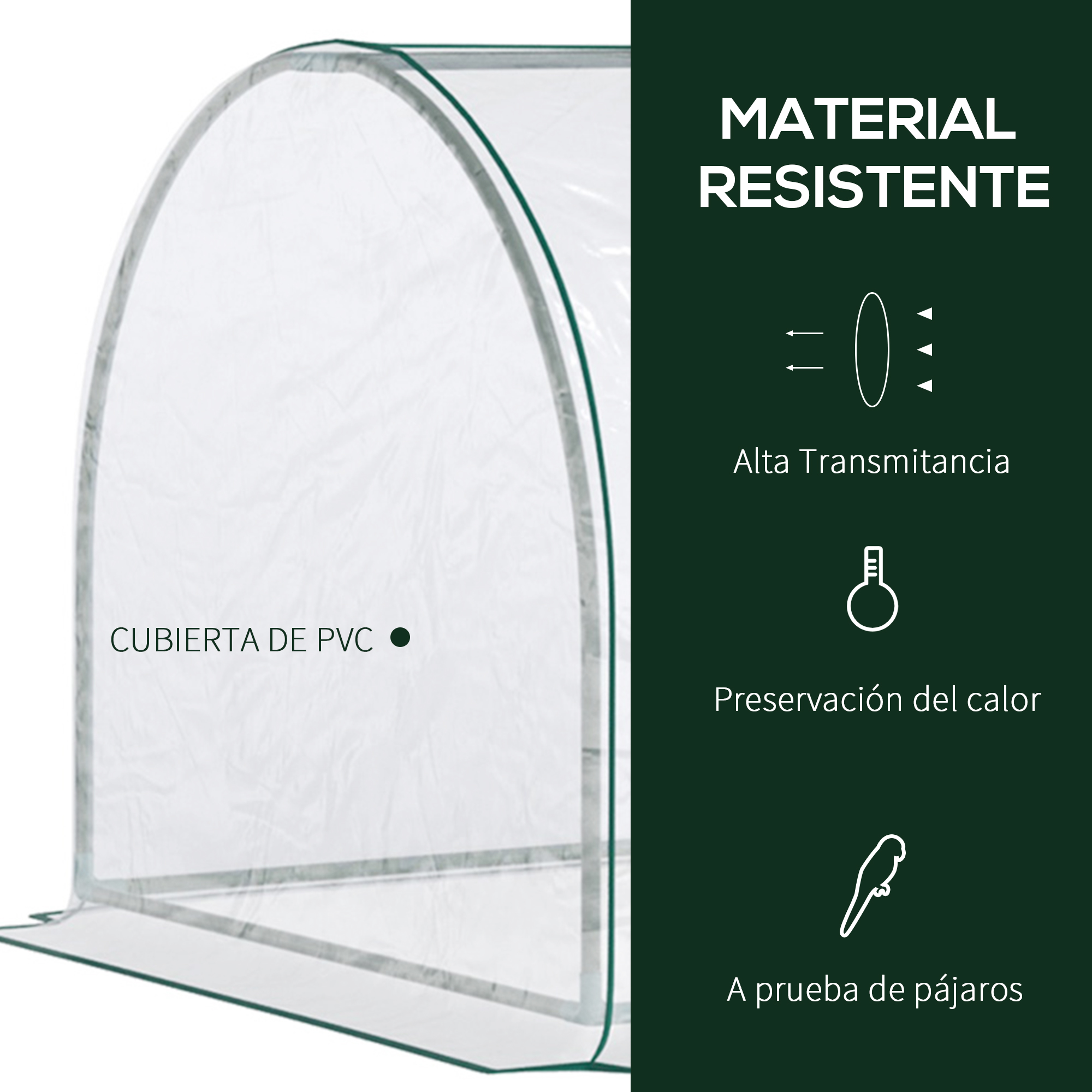 Un invernadero con cubierta de PVC transparente y ribetes verdes.
