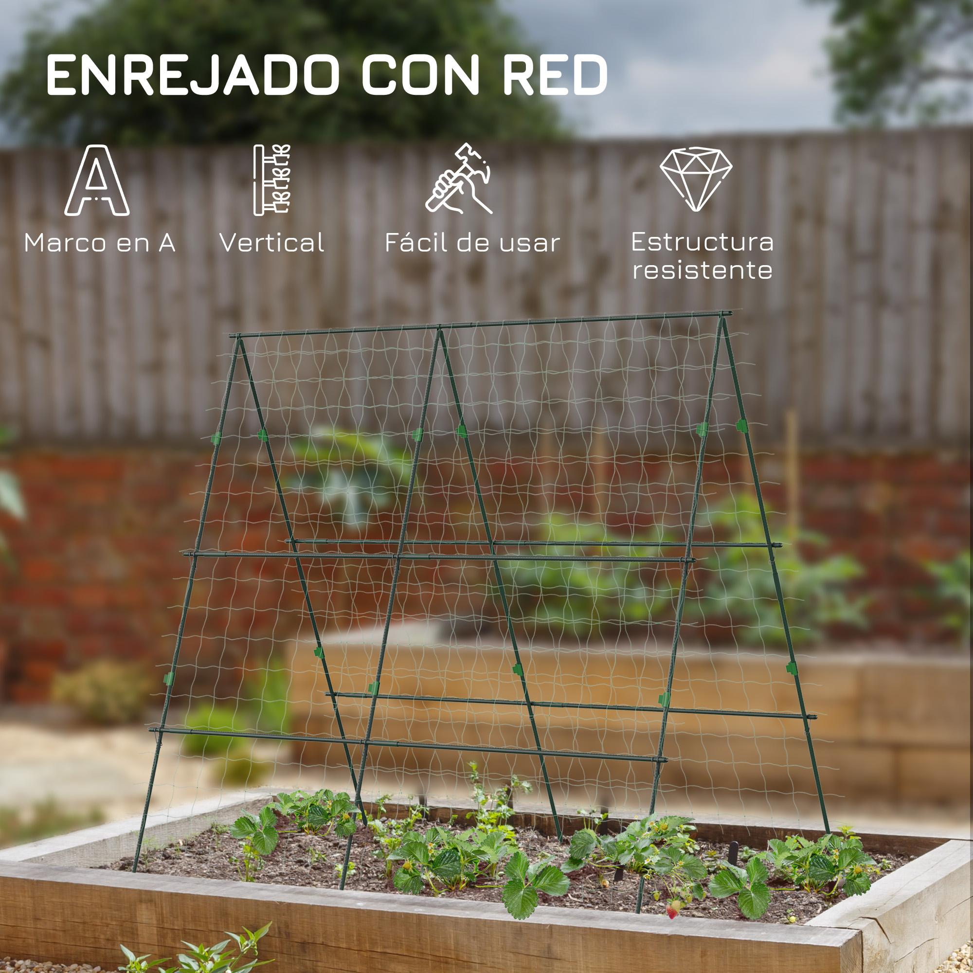 Una enrejada verde con red se alza sobre plantas de fresa jóvenes en un bancal elevado.