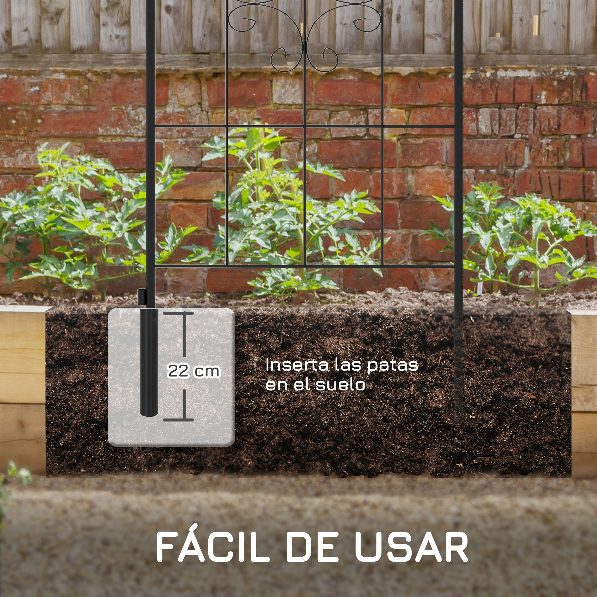 Una espaldera de jardín con 22 cm de profundidad de tierra, junto a jóvenes plantas de tomate.