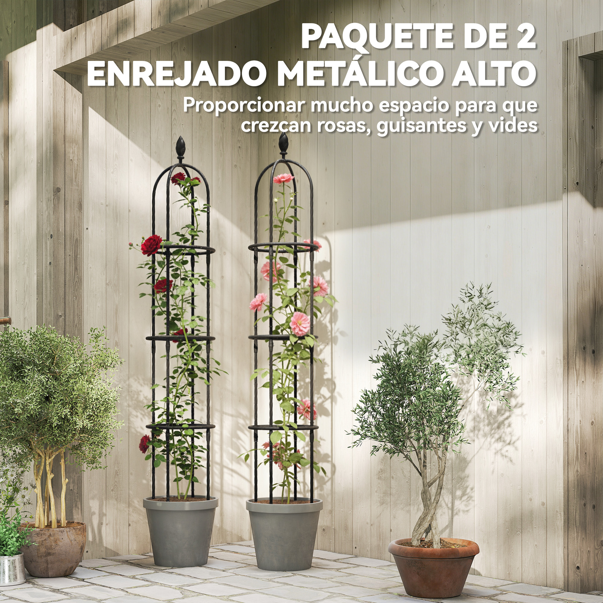Dos enrejados metálicos altos con rosas en macetas.