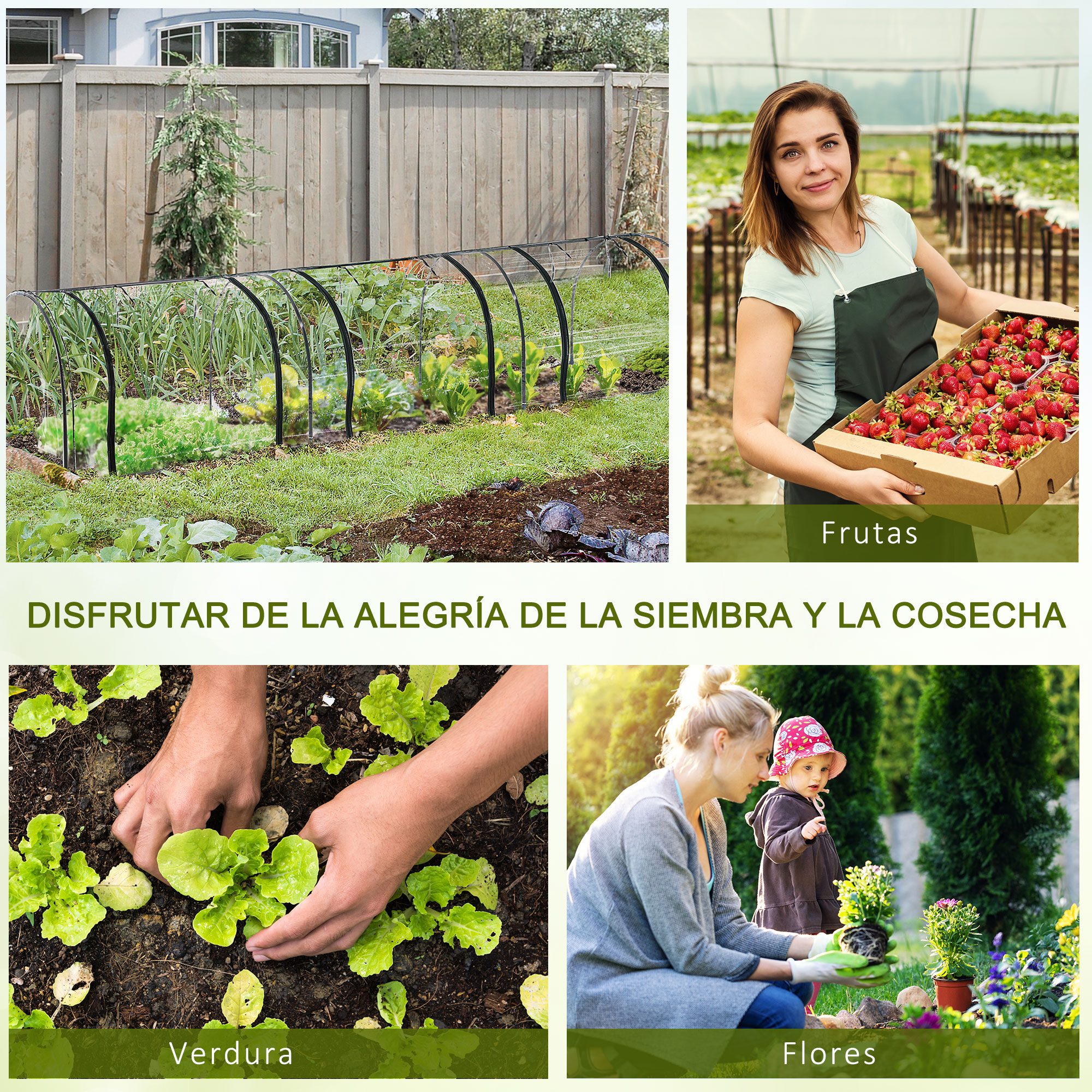 Cuatro escenas de jardín: invernadero, fresas, plantando verduras, flores.
