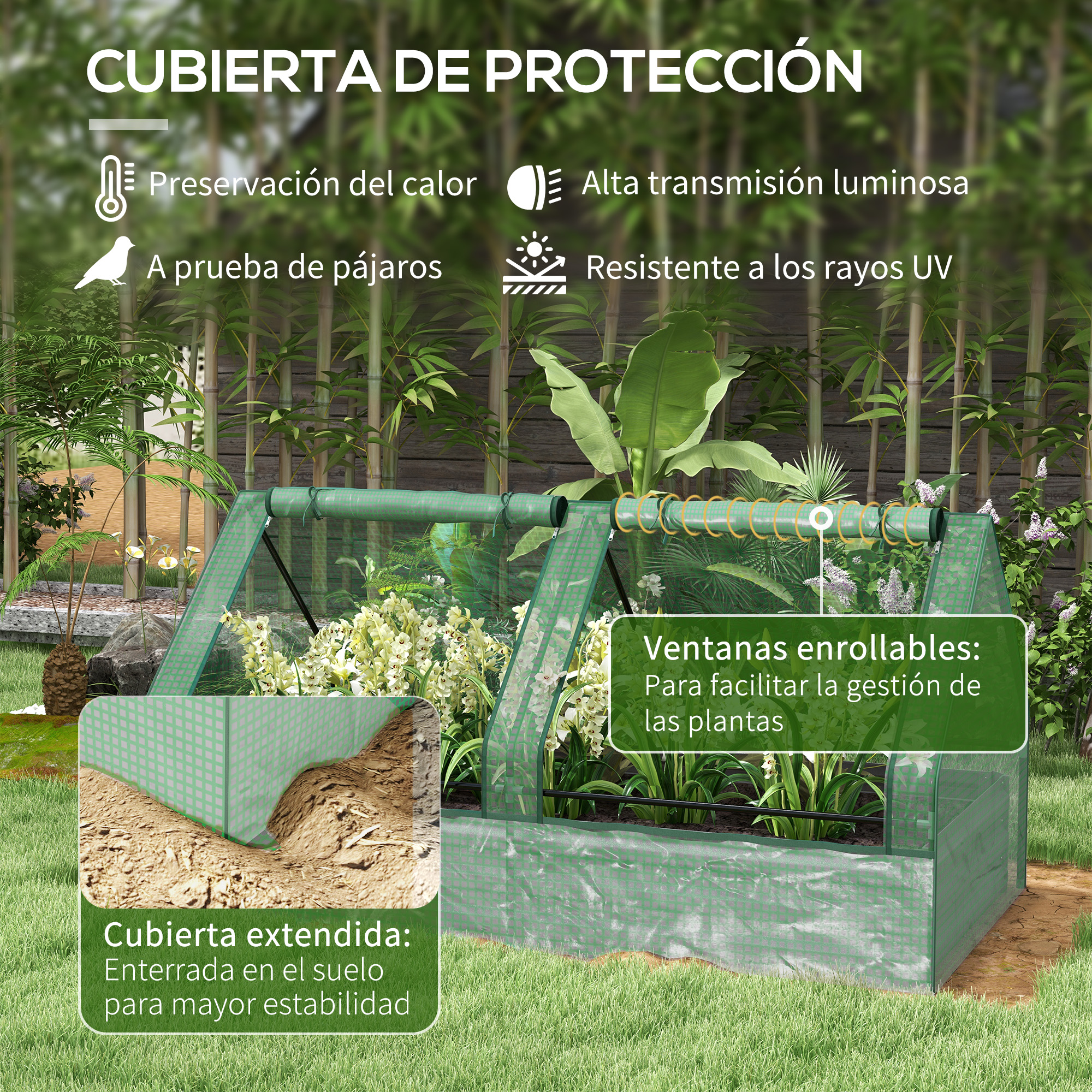 Invernadero verde con plantas, fondo de bambú y jardín.