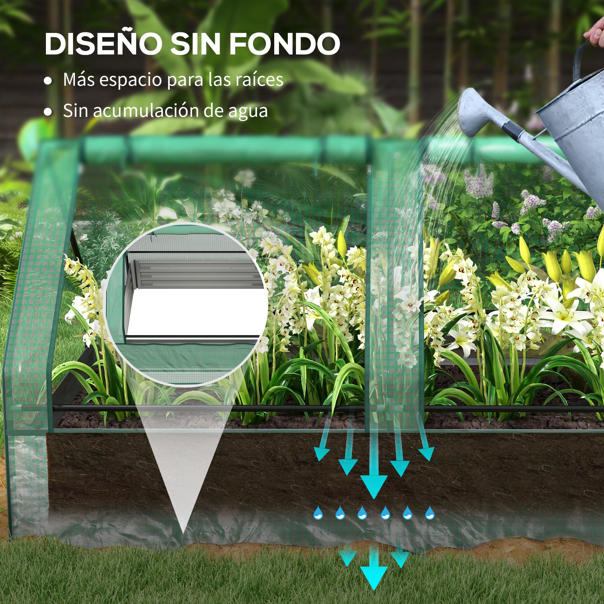 Un invernadero con plantas regadas desde arriba. El agua se filtra por el suelo.
