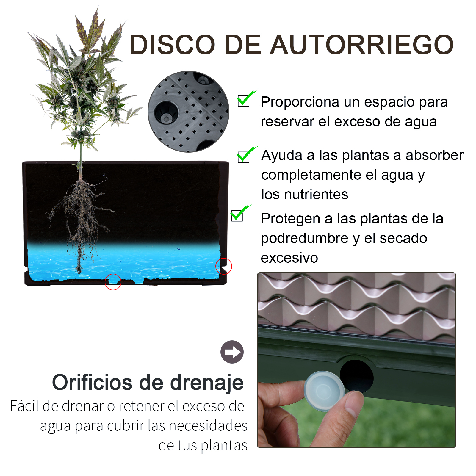 Diagrama de una maceta de autorriego con planta y reserva de agua.