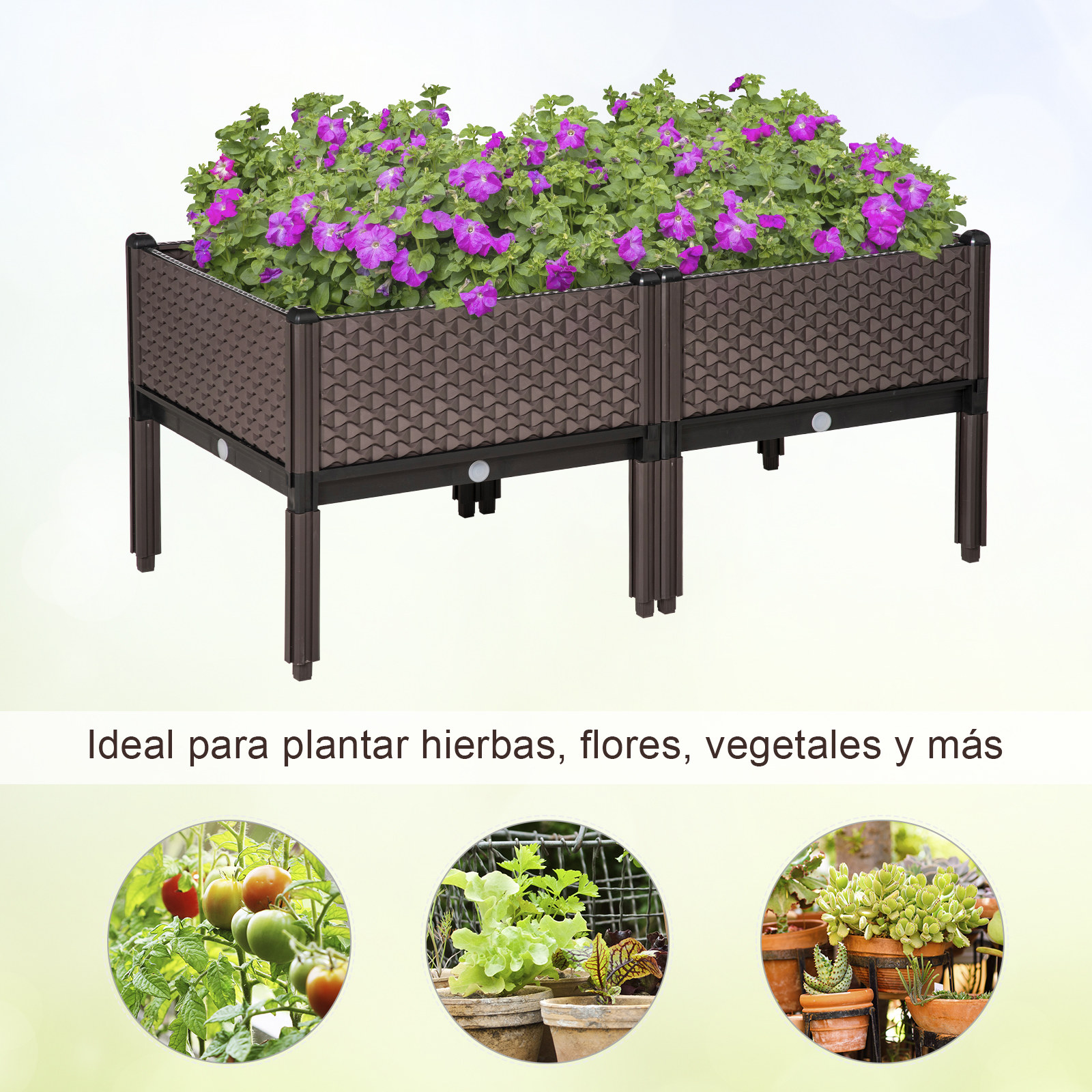 Un bancal elevado marrón con flores moradas y tres imágenes circulares de plantas abajo.