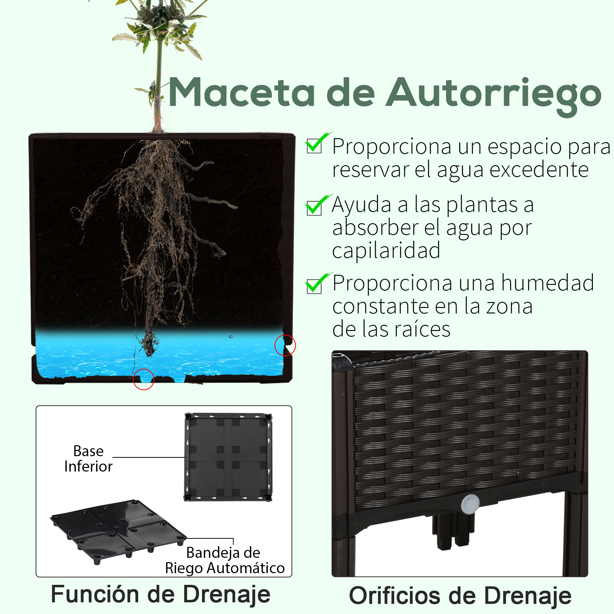 Ilustración de planta con raíces, depósito de agua y sistema de drenaje.