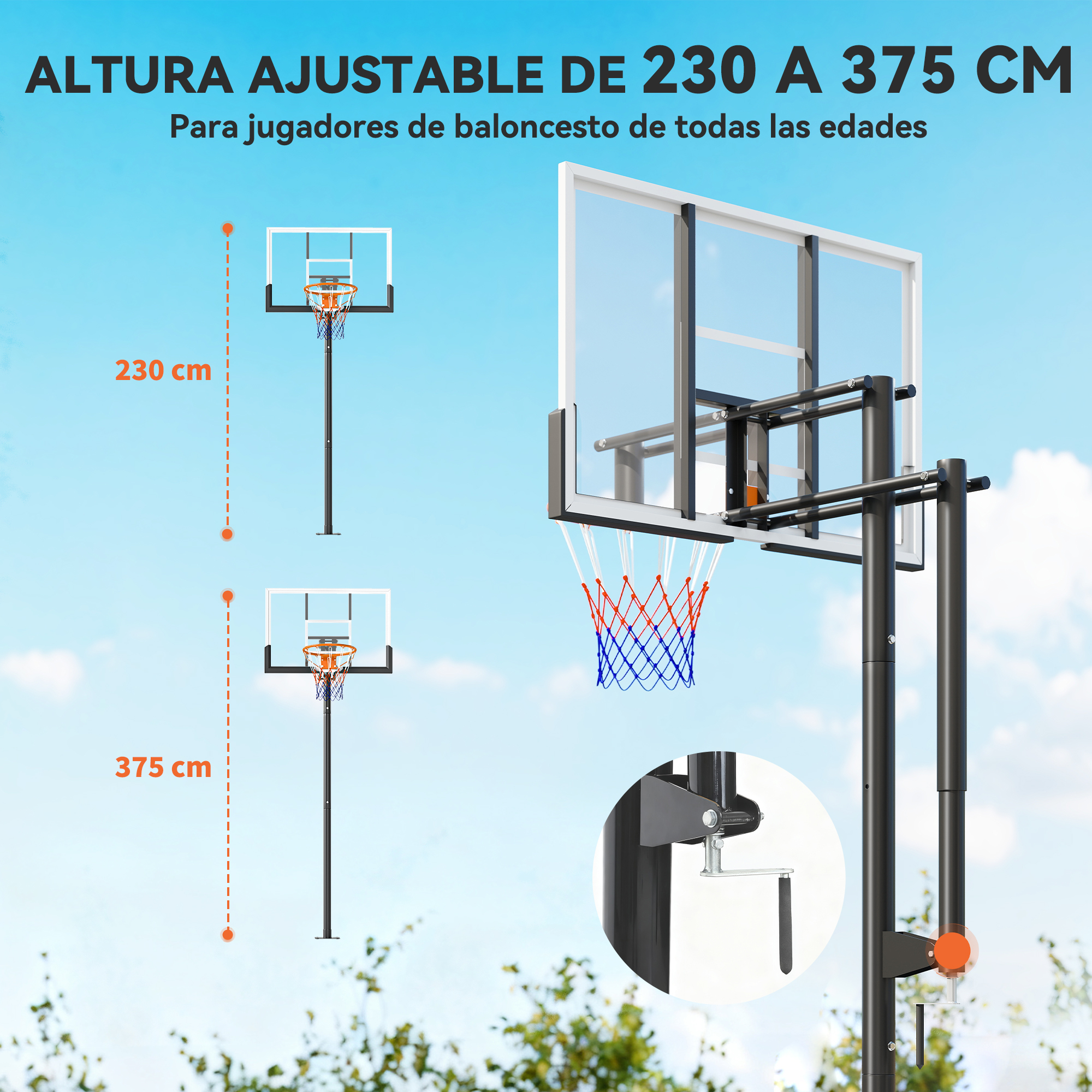 Aro de baloncesto ajustable, altura 230-375 cm, con dos aros y tablero transparente.