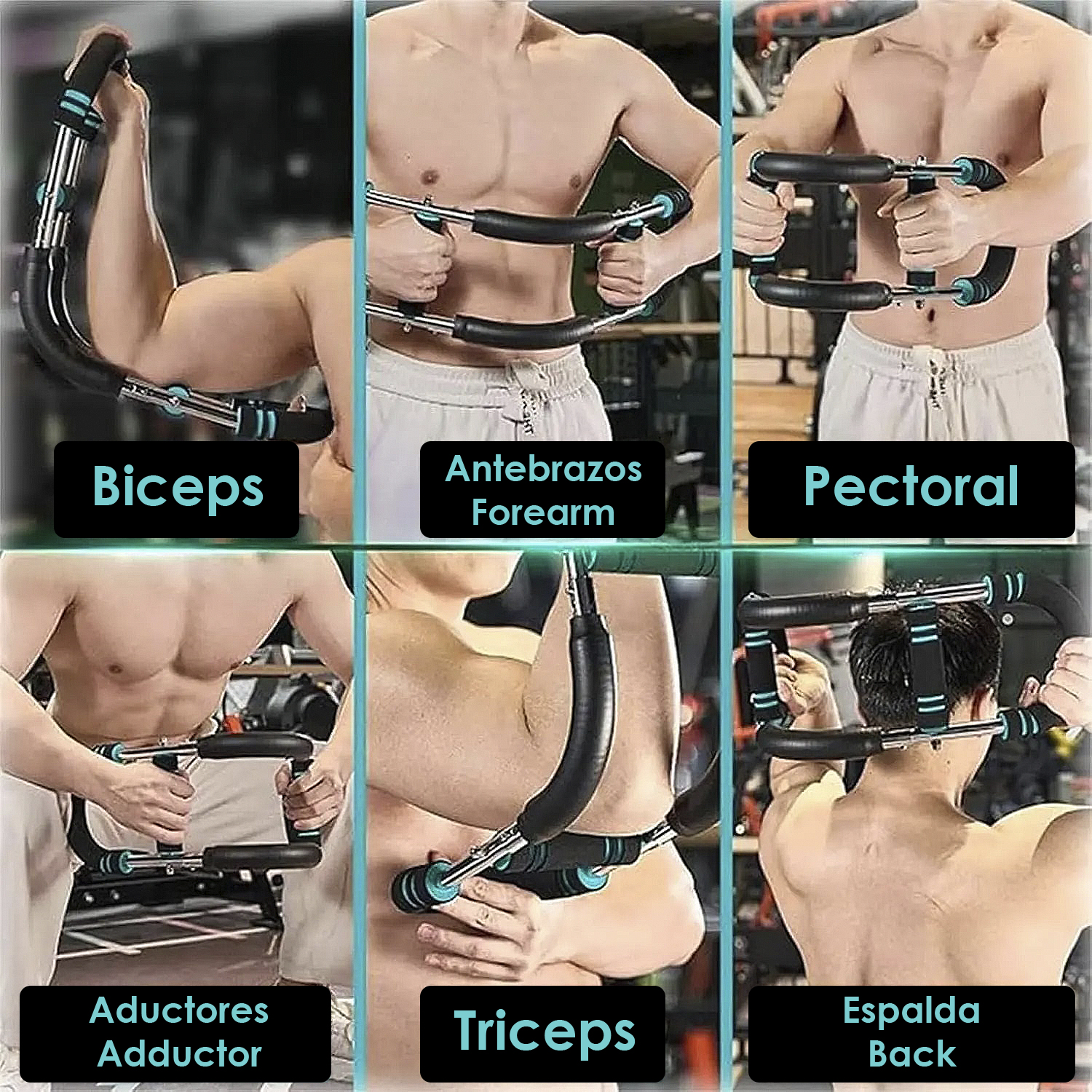 Seis imágenes muestran hombres usando un dispositivo de entrenamiento para bíceps, antebrazos, pectorales, aductores, tríceps y espalda.