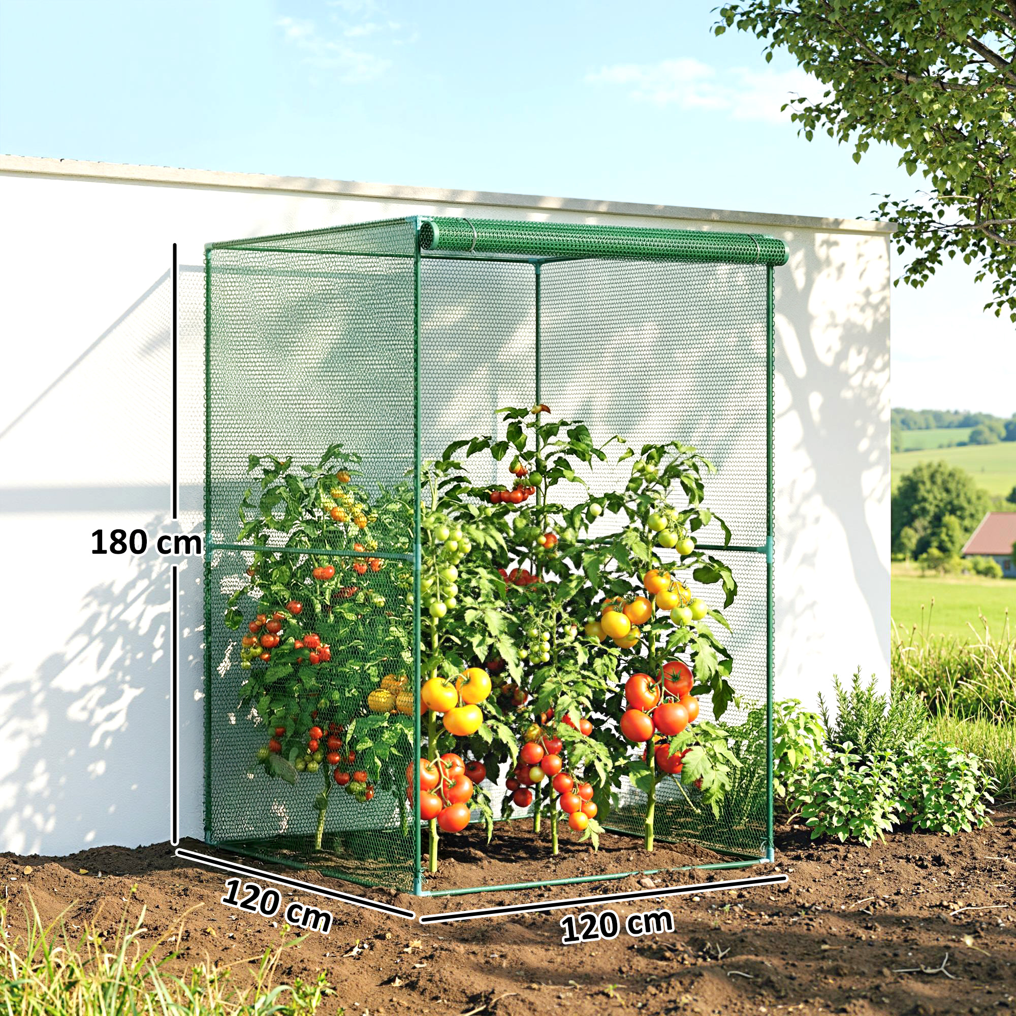 Un recinto de malla verde con plantas de tomate que portan tomates rojos y amarillos.