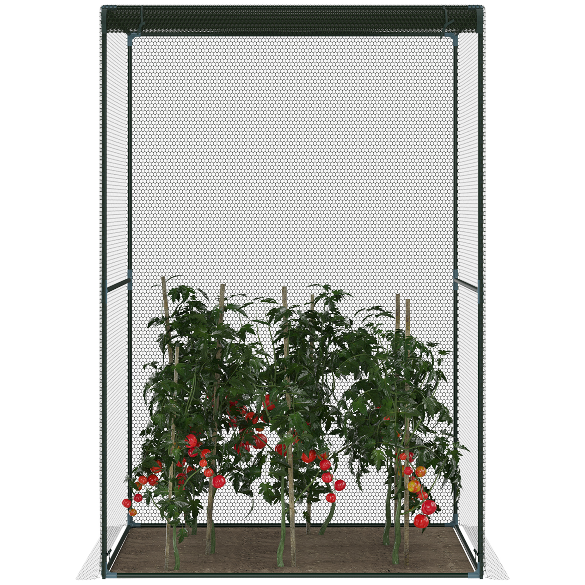 Un invernadero verde con plantas de tomate que dan tomates rojos en el interior.