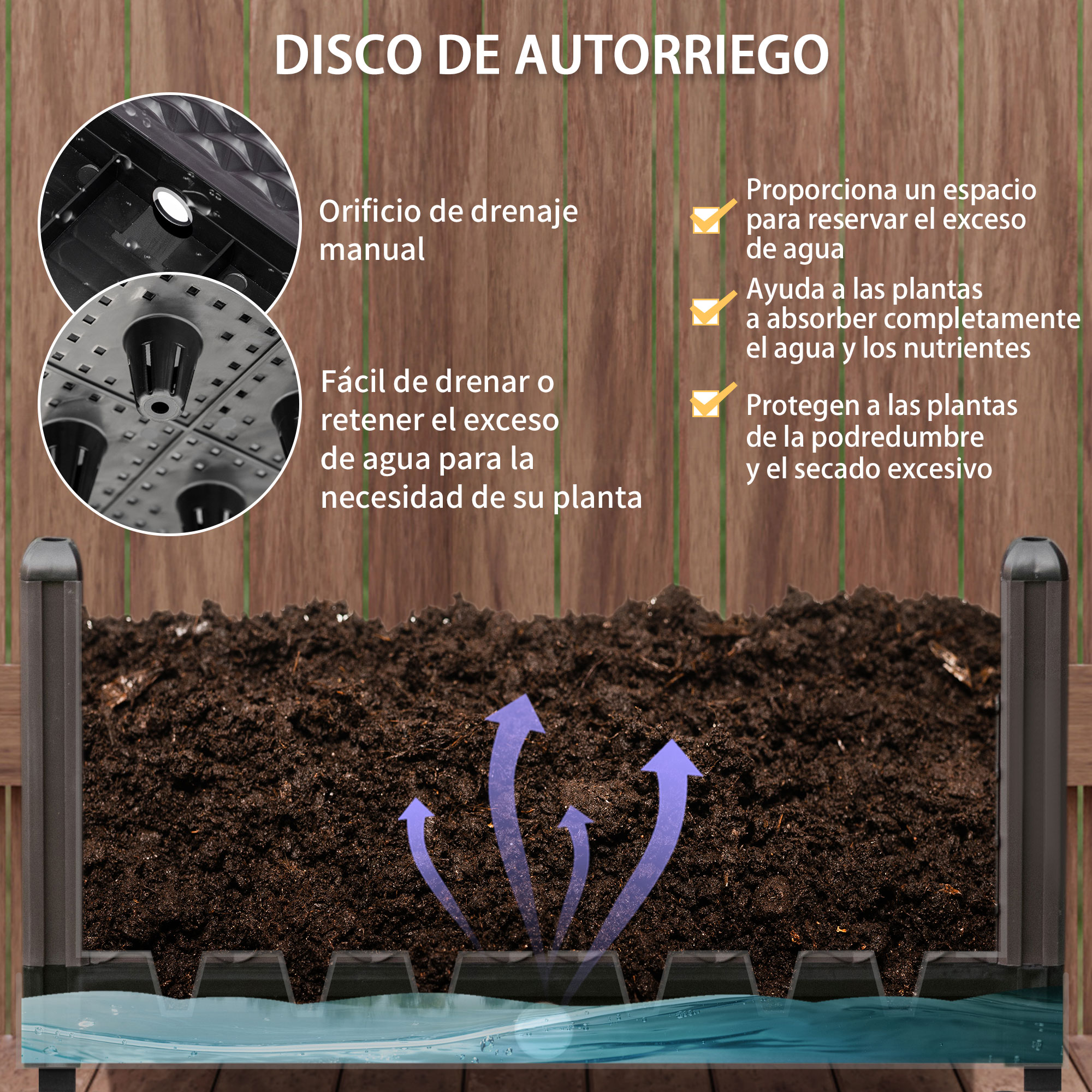 Disco de autorriego con drenaje y absorción de nutrientes.
