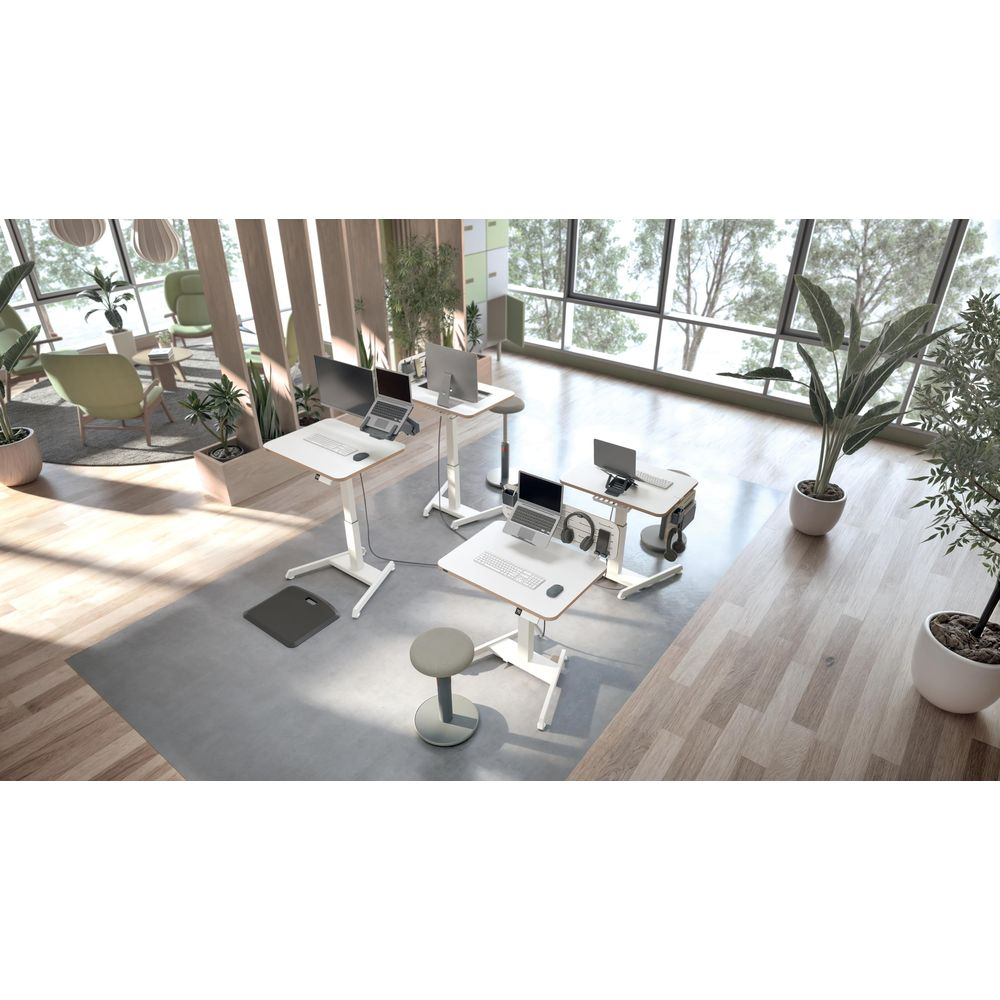 Ufficio moderno con scrivanie regolabili, laptop, piante e luce naturale.