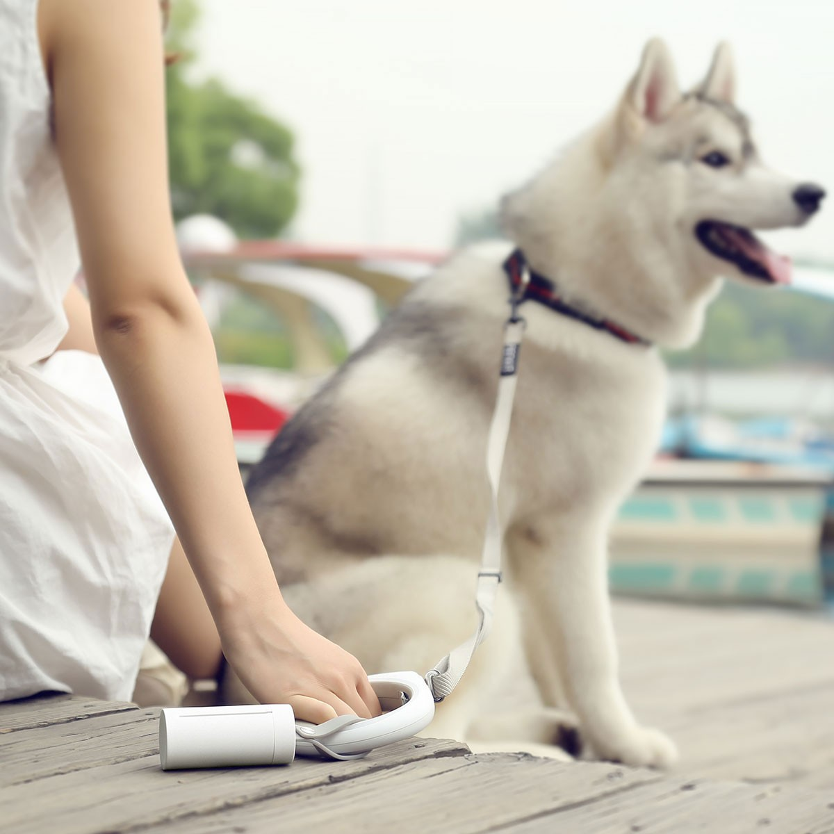 Eine Person in einem weißen Kleid hält eine weiße Leine, die an einem Husky befestigt ist. Draußen.