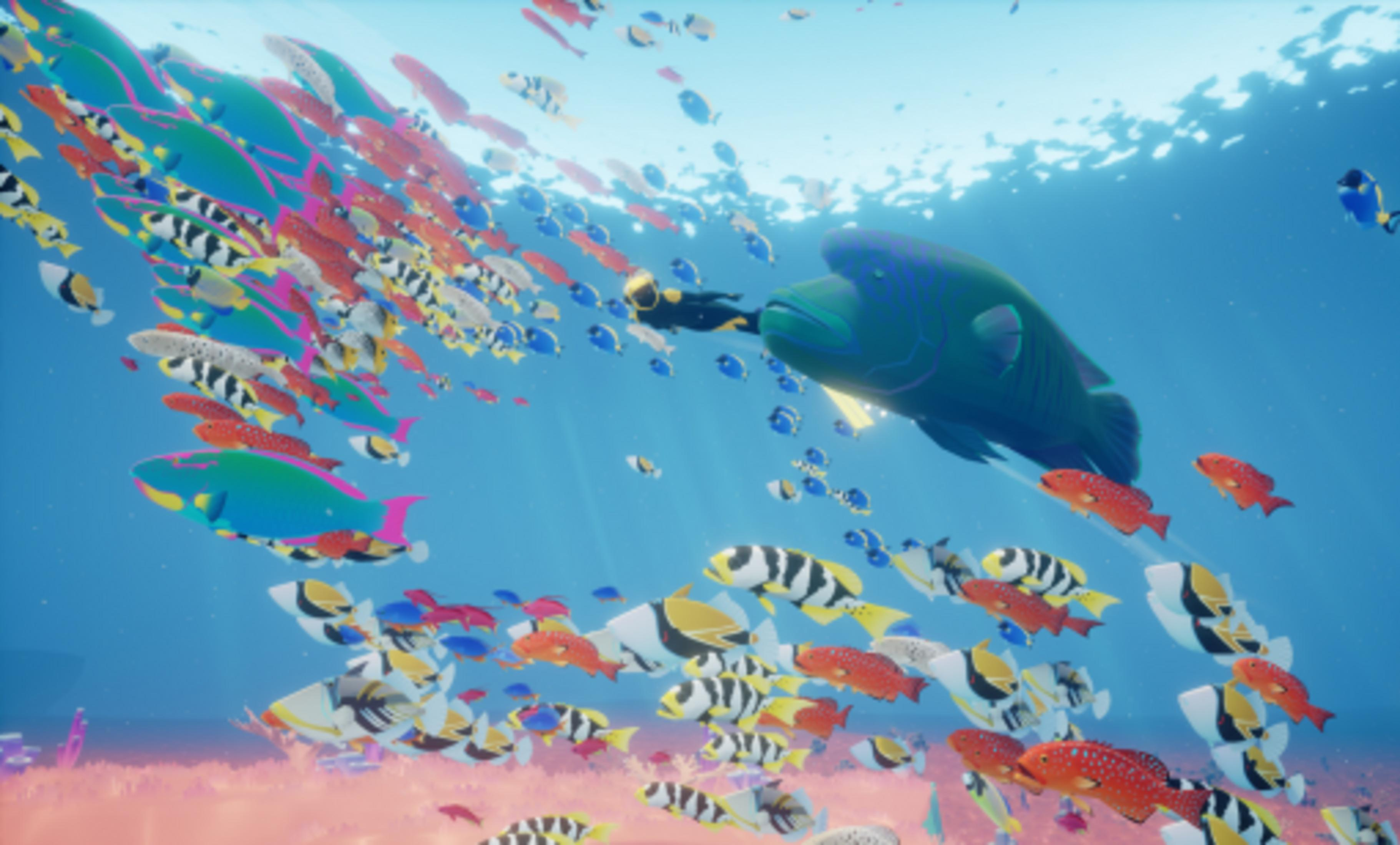 Ein Taucher schwimmt in einem Schwarm bunter Fische unter Wasser.