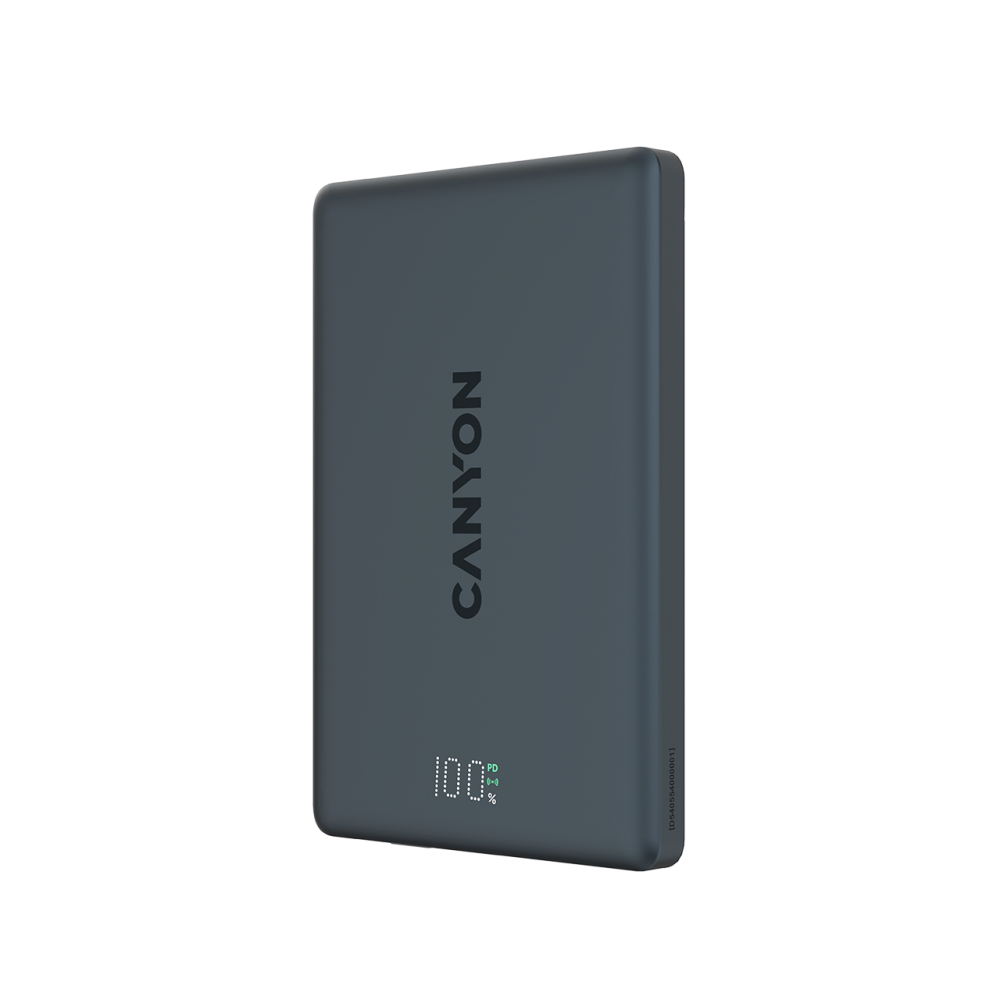 Ciemnoszary powerbank Canyon pokazujący 100% naładowania.