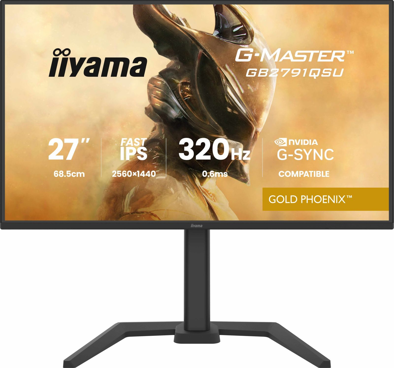 Ein 27-Zoll Iiyama G-Master Monitor mit schnellem IPS, 320Hz, 2560x1440 Auflösung.