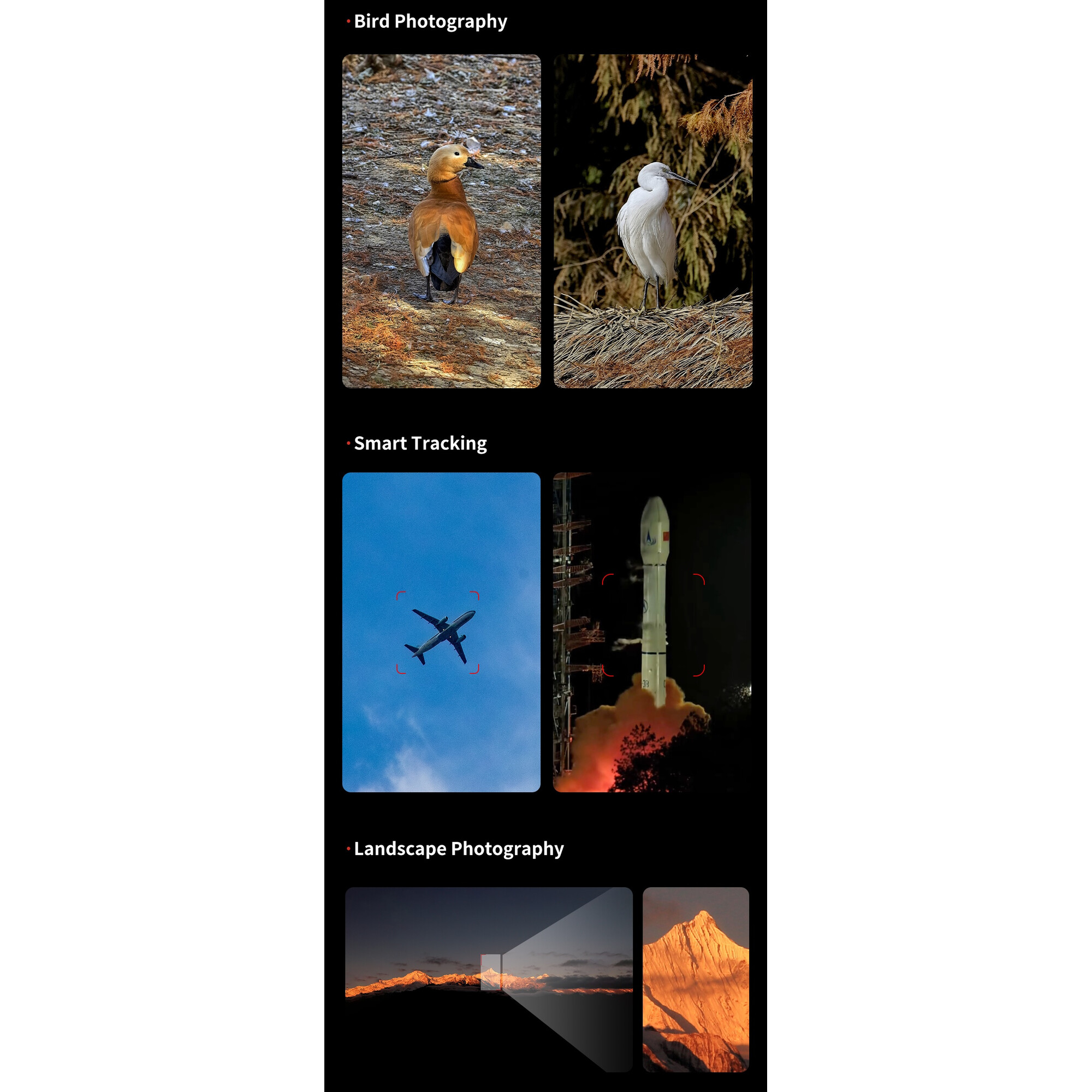 Fotos de pájaros, aviones, cohetes y montañas mostradas en cuadrícula.