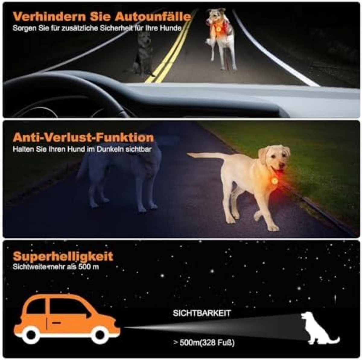 Hunde auf Straße mit leuchtenden Halsbändern und Auto-Scheinwerfer, die Sichtbarkeit zeigen.