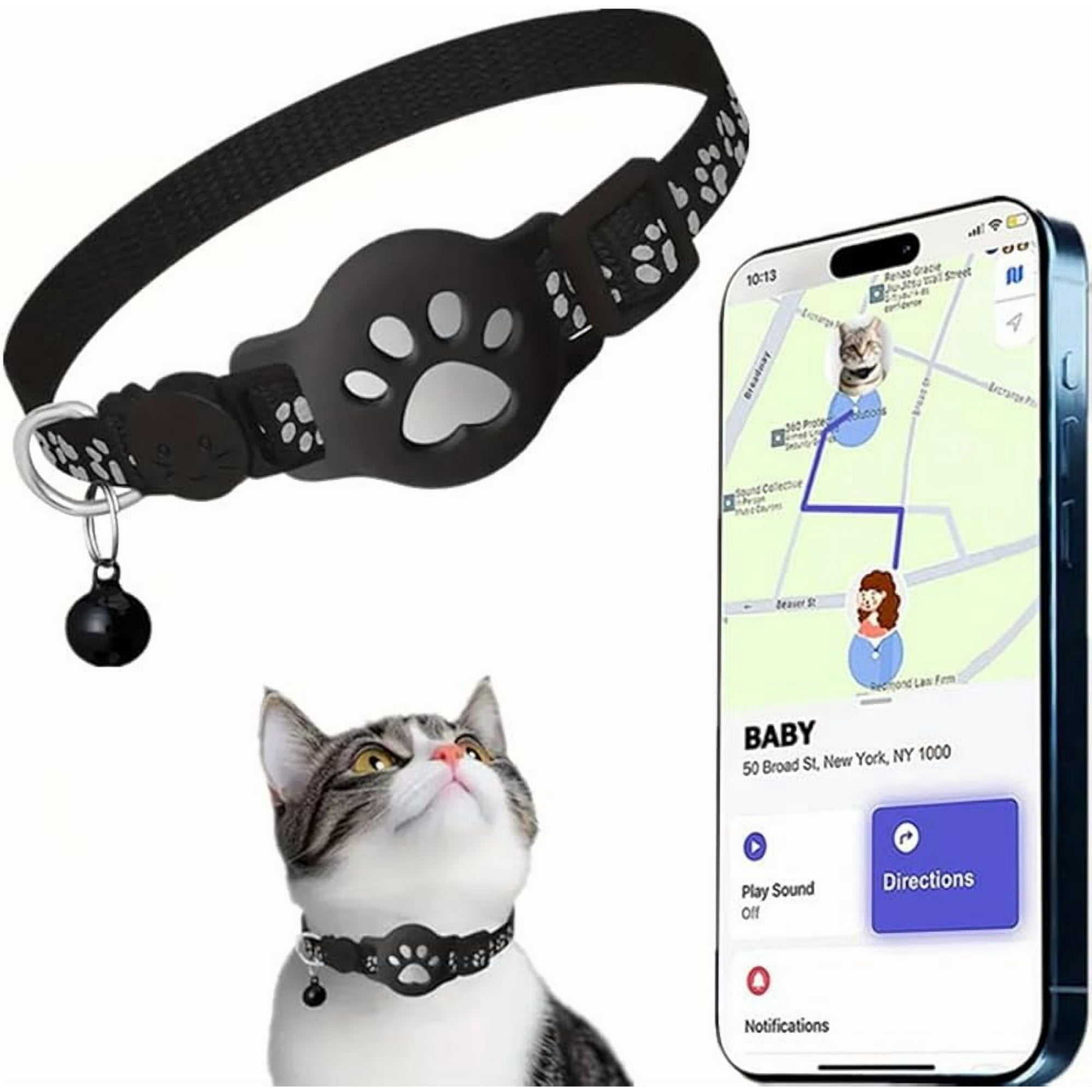 Ein Kater mit Halsband blickt auf ein Handy mit einer Karte, das den Standort anzeigt.