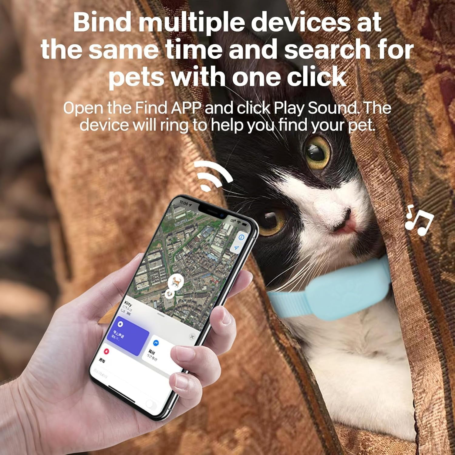 Ein Schwarz-weiße Katze mit einem blauen Halsband versteckt sich hinter einem braunen Vorhang, während ein Handy mit einer Karten-App gehalten wird.