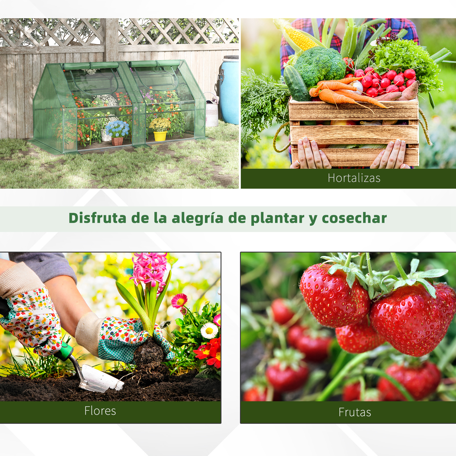 Un invernadero verde con plantas, una caja de verduras, una persona plantando flores y fresas.