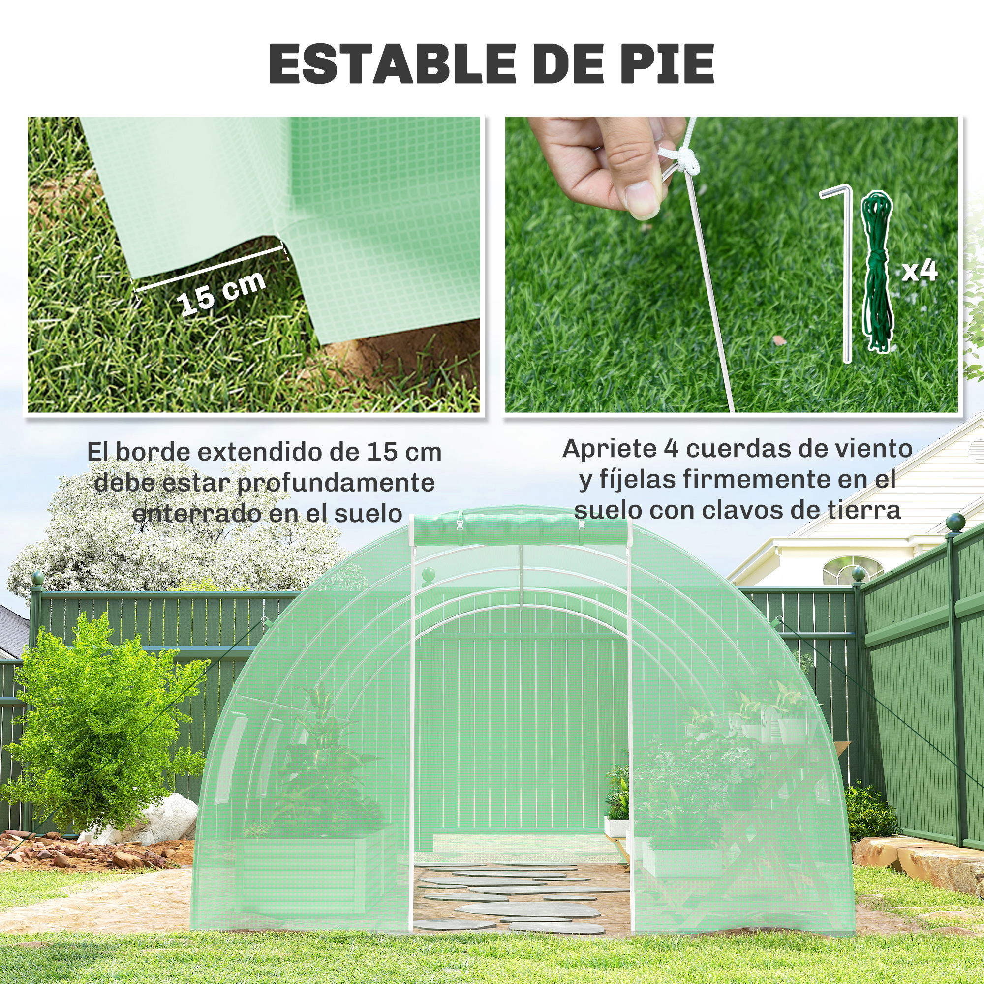 Un invernadero verde al aire libre, con estacas y cuerdas para asegurarlo.