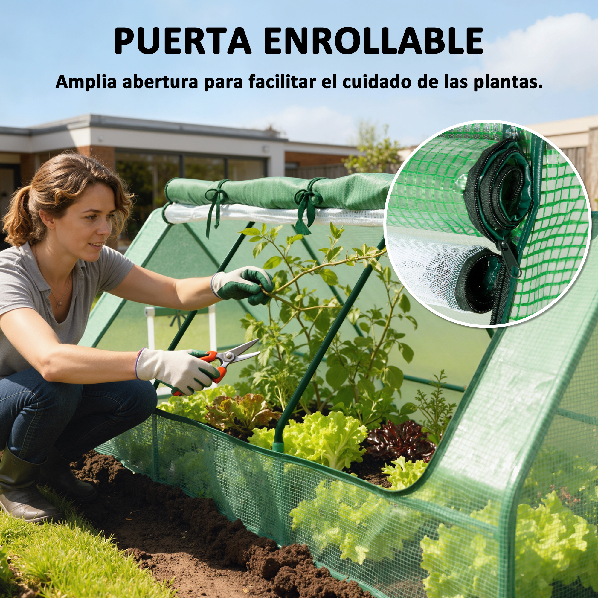 Mujer trabajando en invernadero, podando plantas. Lechuga crece en tierra.