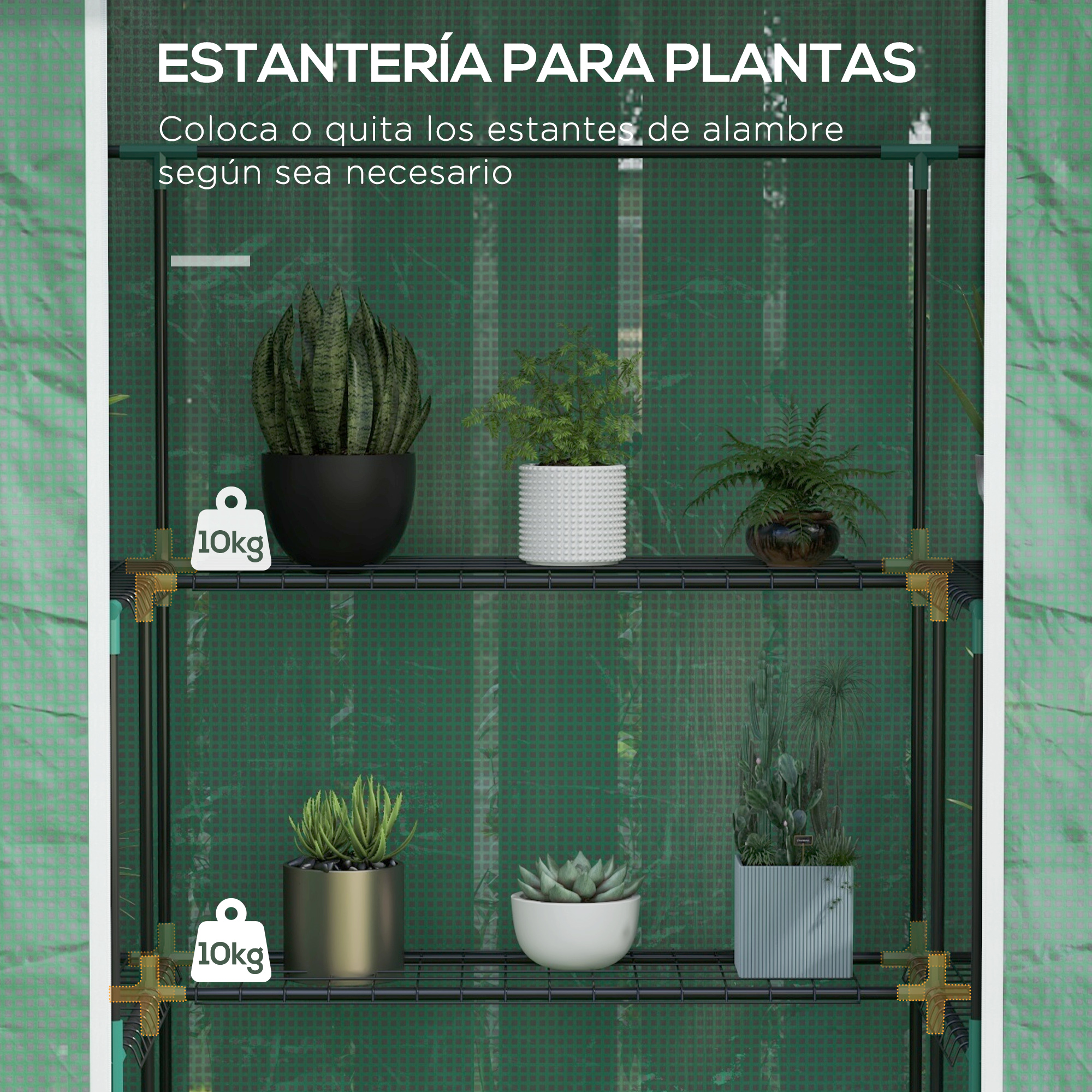 Un invernadero verde con tres estantes que sostienen varias plantas.