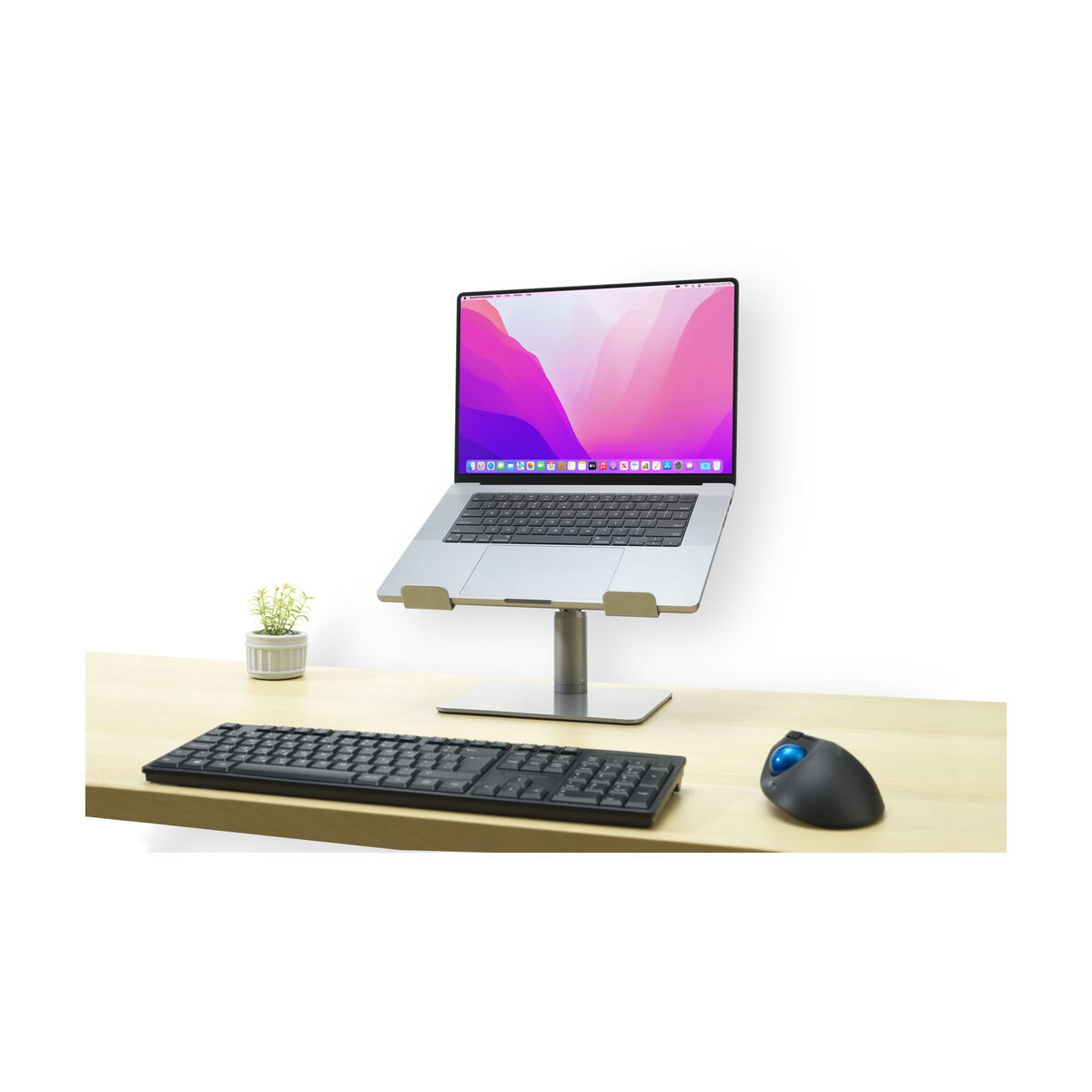 A laptop on a stand, keyboard, mouse and plant on a wooden desk.