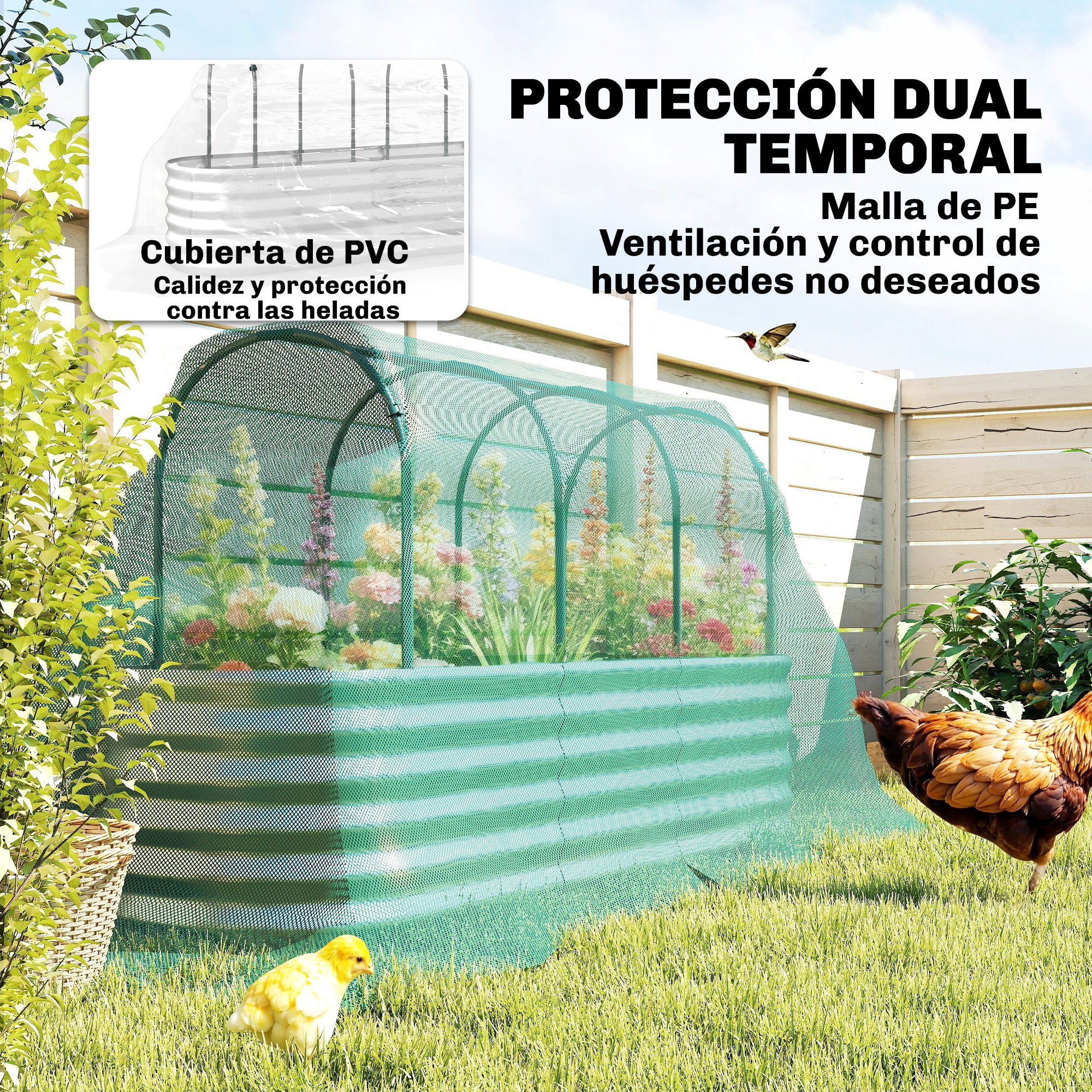 Un bancal elevado cubierto con red verde, con flores dentro. Un pollo y un polluelo en el césped.