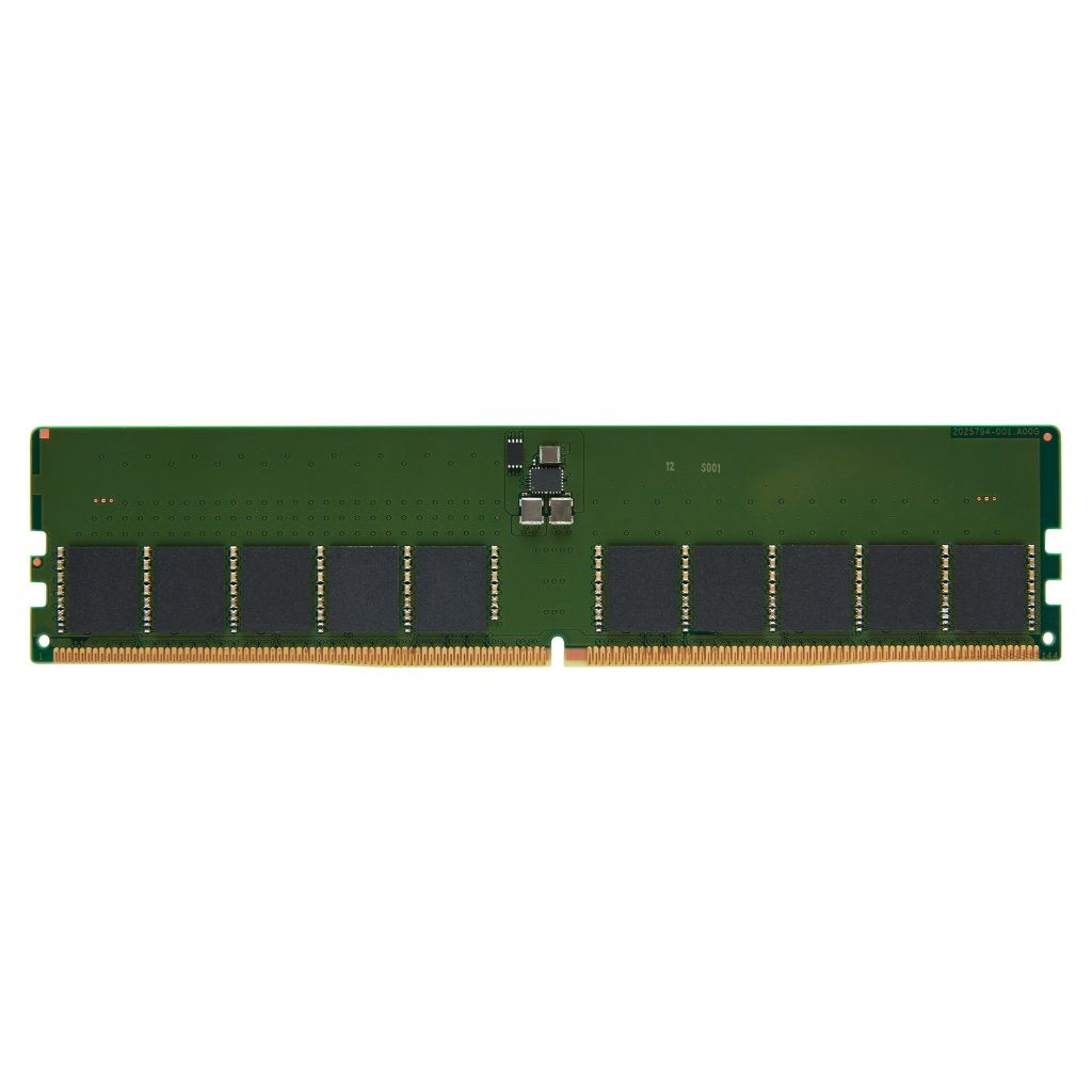 Grünes RAM-Modul mit schwarzen Speicherchips und goldenen Kontakten auf weißem Grund.