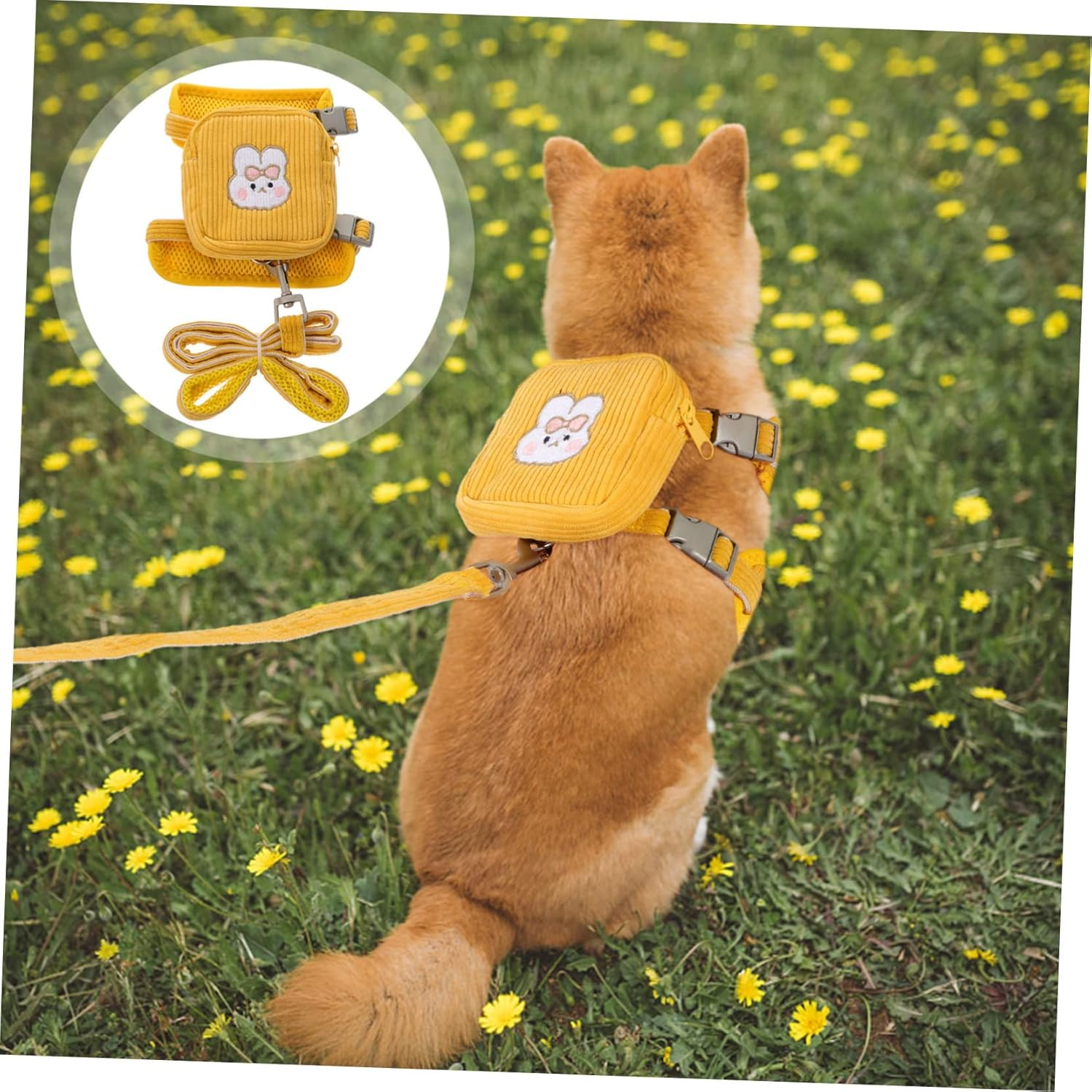 Ein Hund mit einem gelben Geschirr und einer Leine sitzt in einer Wiese mit Gänseblümchen.