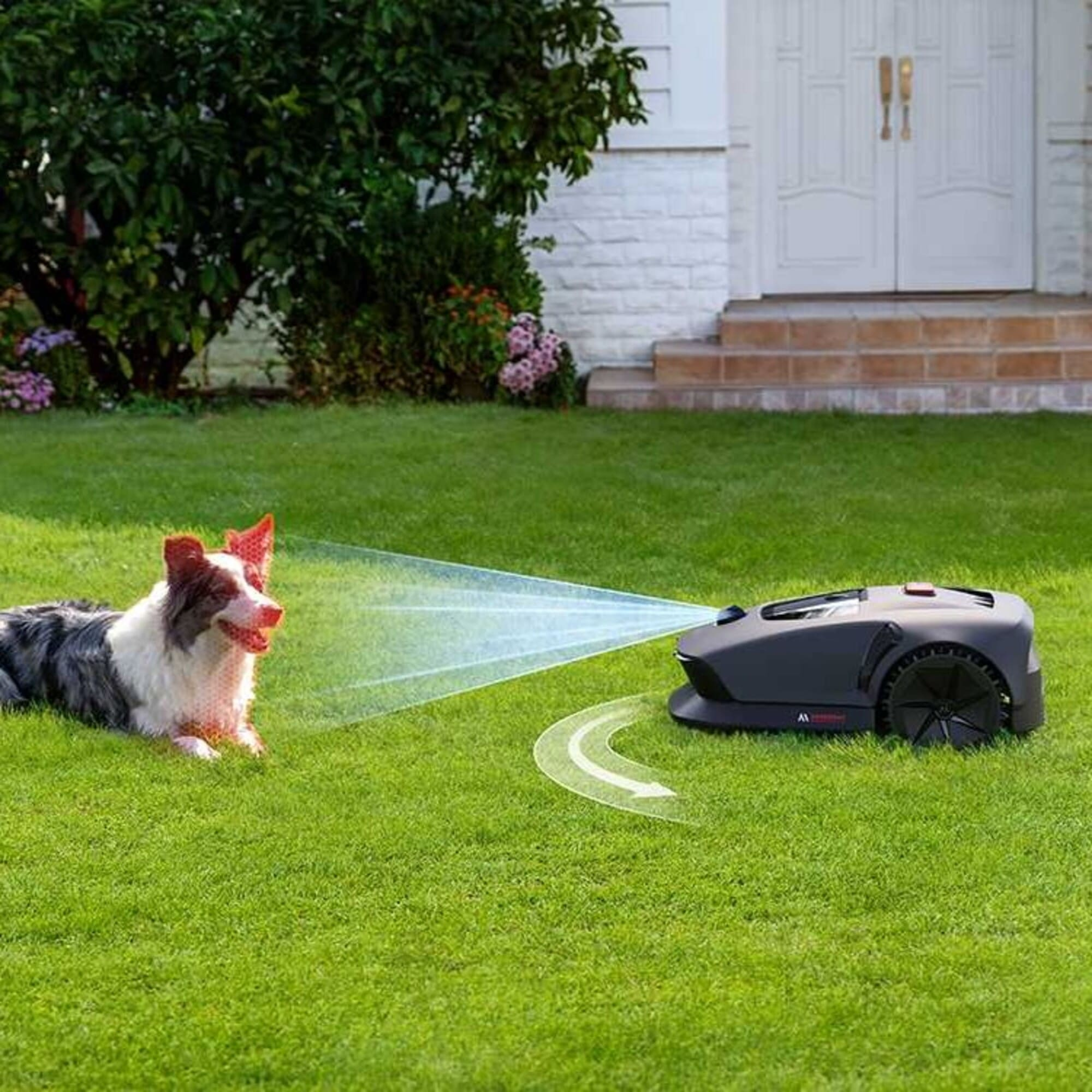 Un perro yace en el césped mientras se acerca un robot cortacésped.