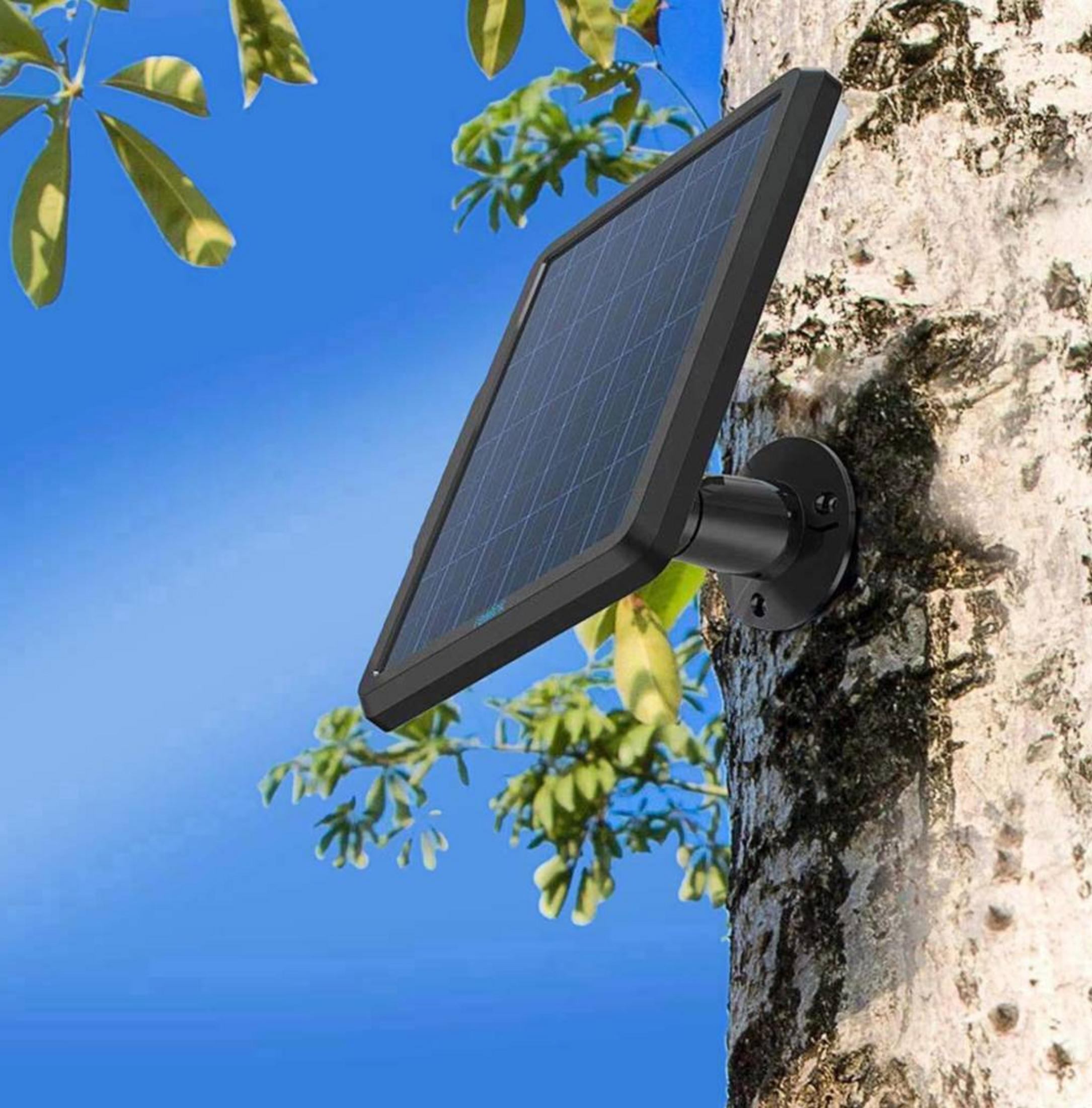 Ein Solarpanel ist an einem Baumstamm befestigt, mit blauem Himmel und Blättern im Hintergrund.