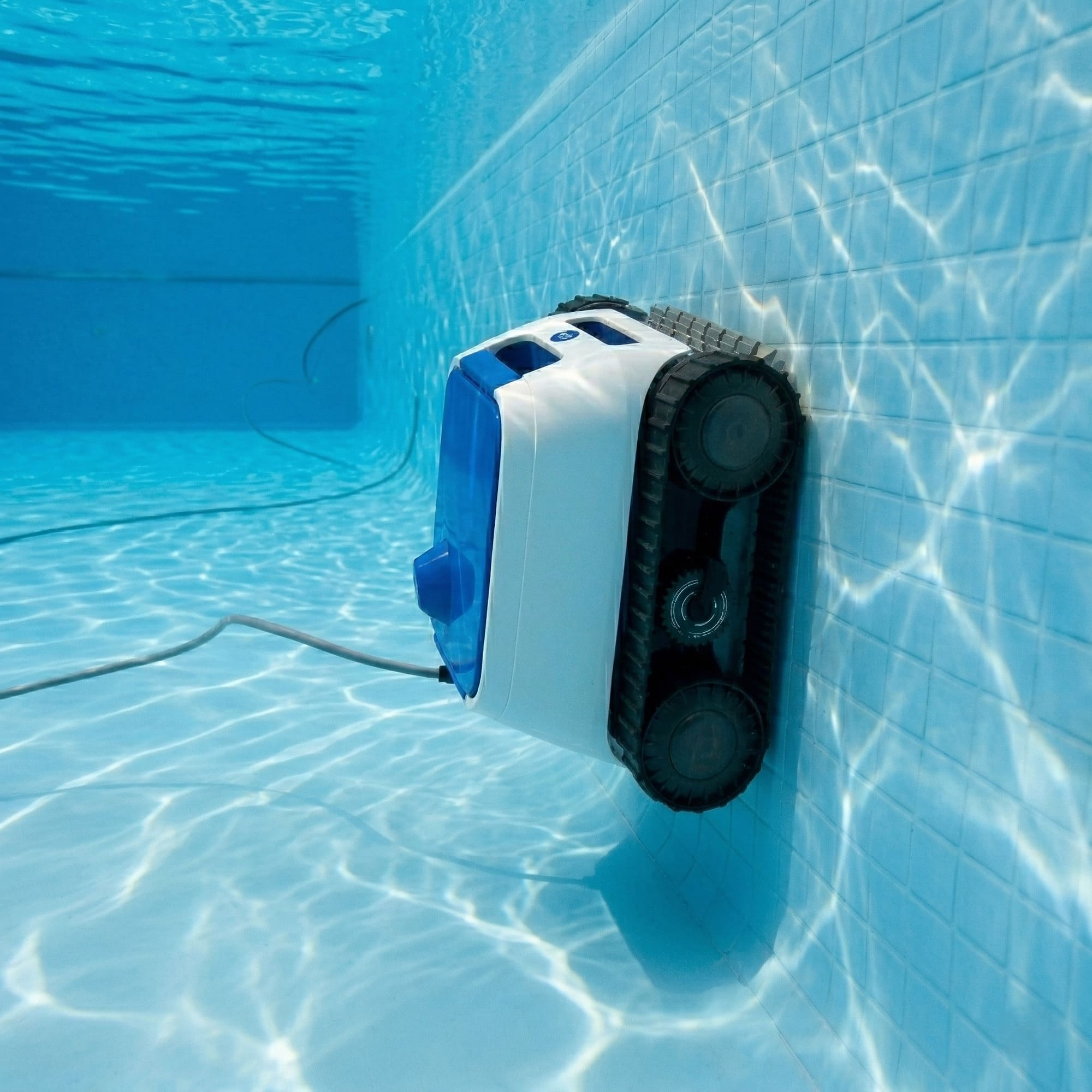 Un robot limpiador de piscinas blanco y azul con ruedas limpia una pared de piscina alicatada.