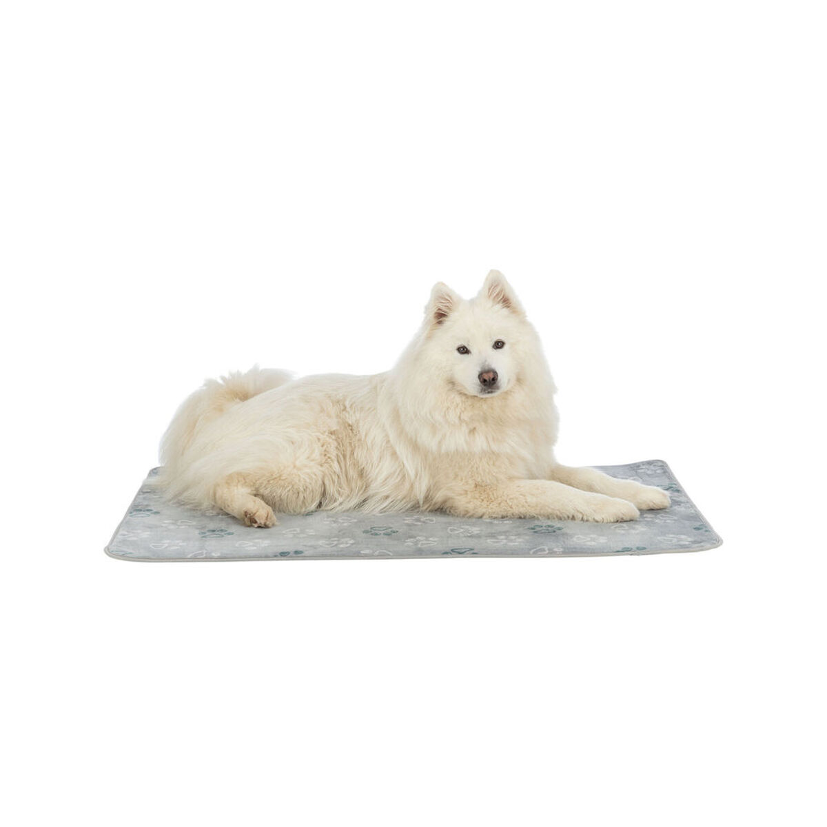 Ein flauschiger weißer Samojedenhund liegt auf einer grauen Matte mit Pfotenabdrücken.