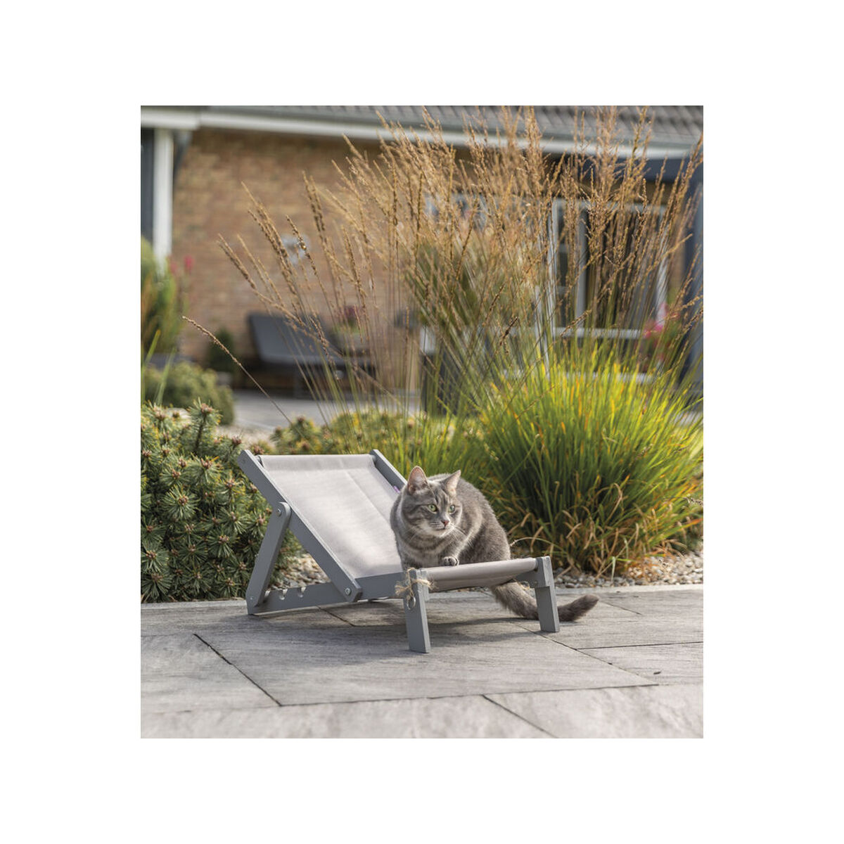 Eine graue Katze sitzt auf einer kleinen grauen Liege im Garten.