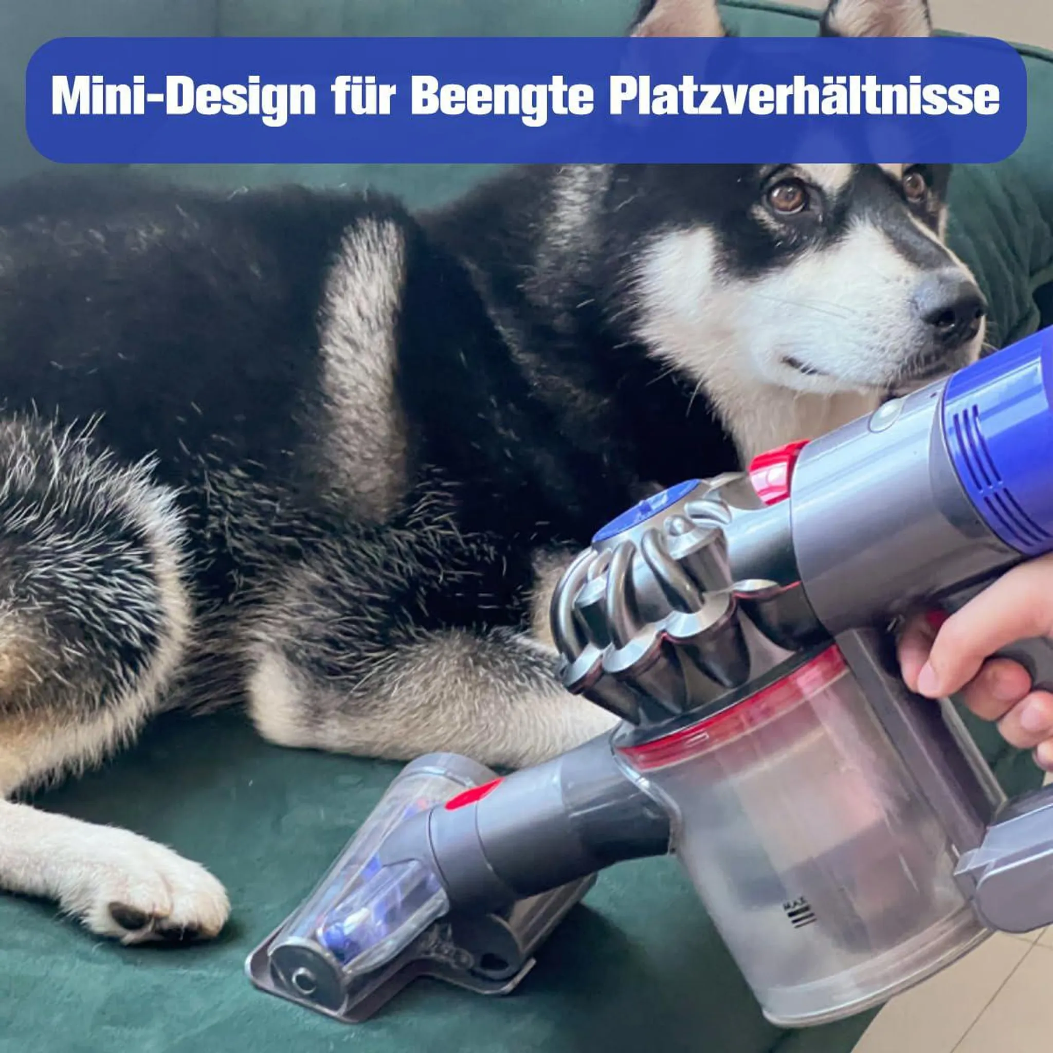 Ein Hund liegt auf einem Sofa, neben ihm wird ein Handstaubsauger gehalten.