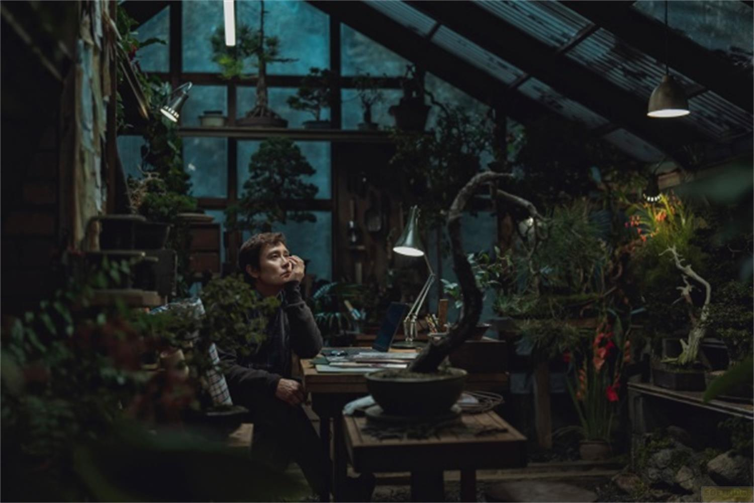 Eine Person sitzt an einem Schreibtisch in einem Gewächshaus voller Bonsai und Pflanzen und blickt nachdenklich.