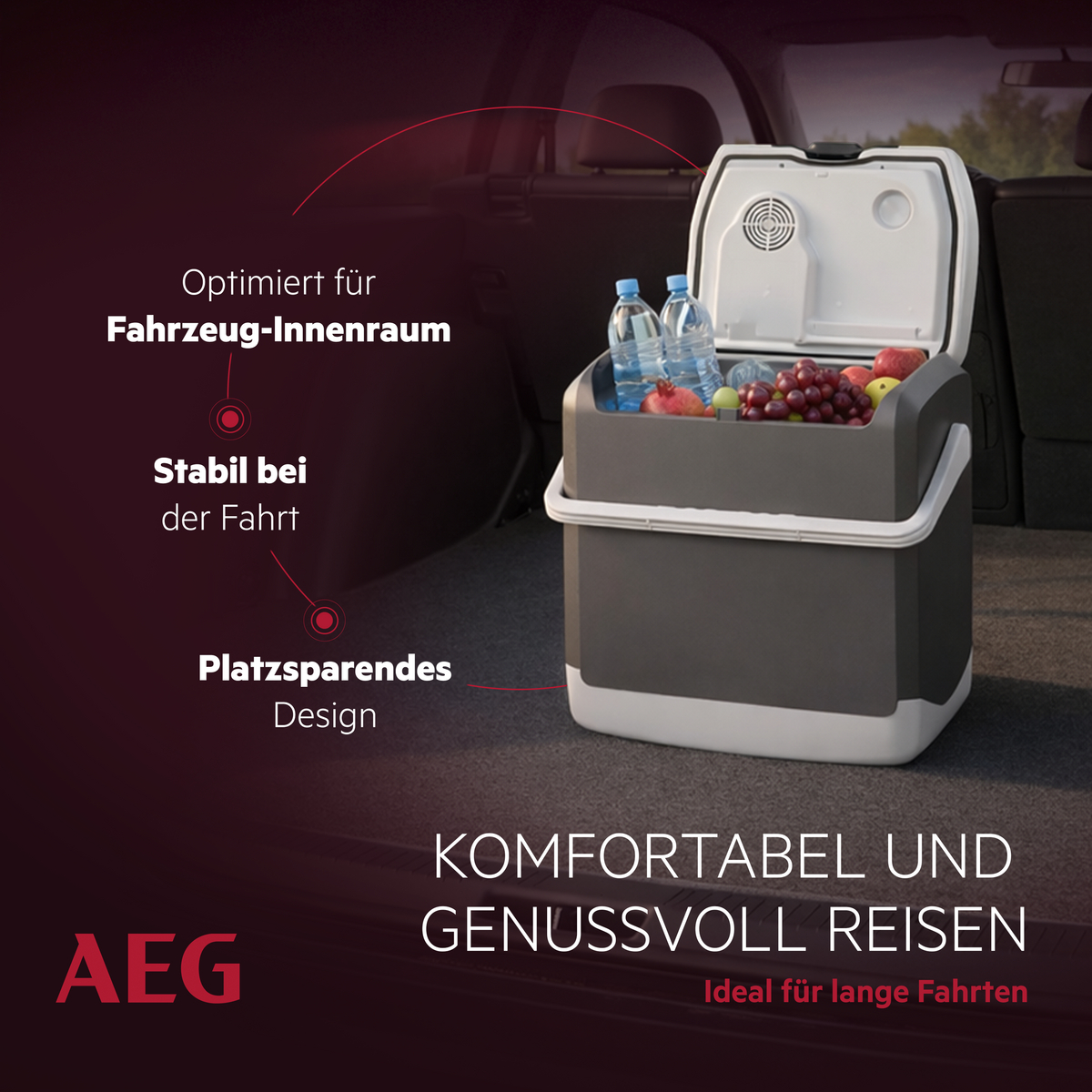 Eine graue Kühlbox mit Wasserflaschen und Obst im Kofferraum eines Autos.