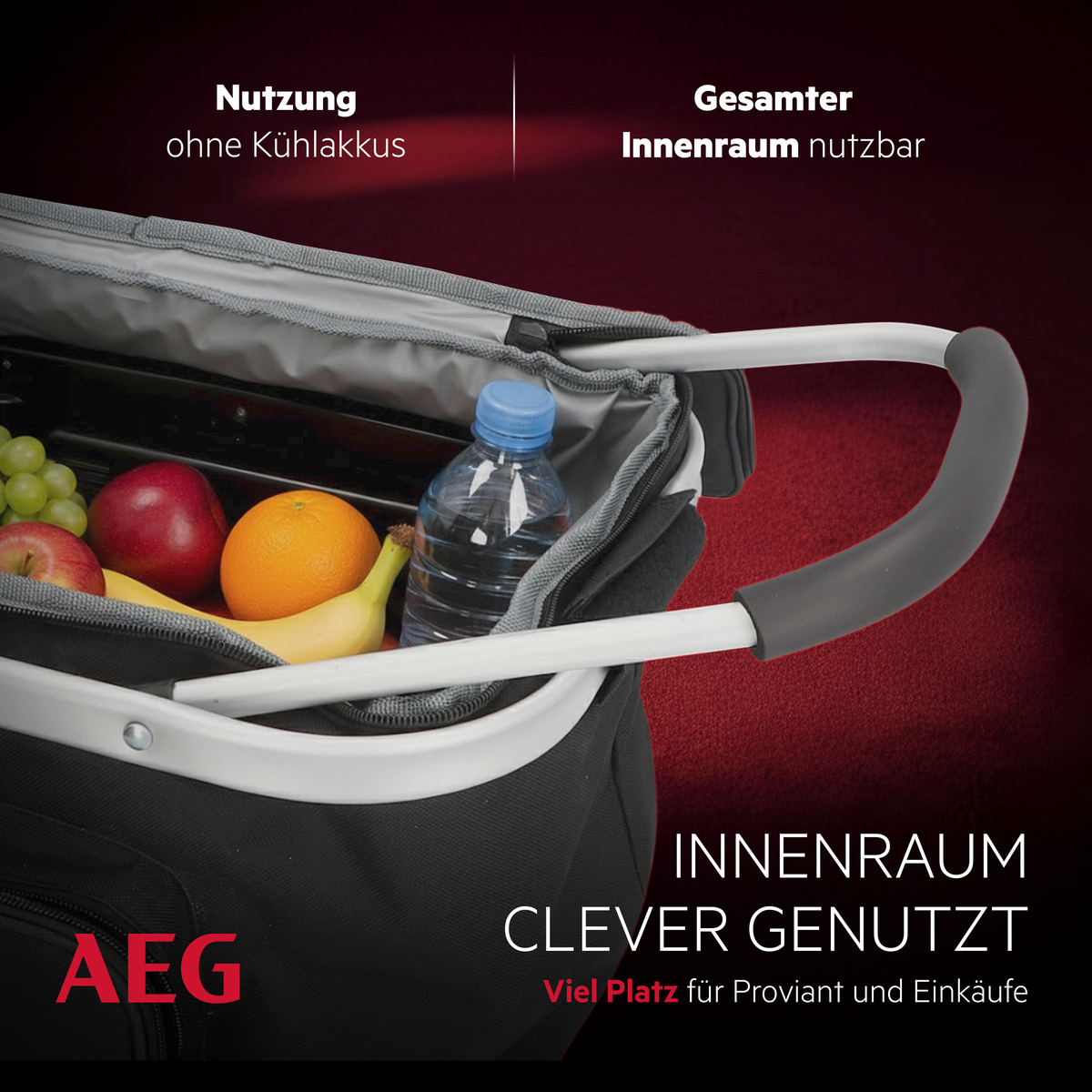 Einkaufstasche mit Obst und Wasserflasche. AEG Logo unten links.