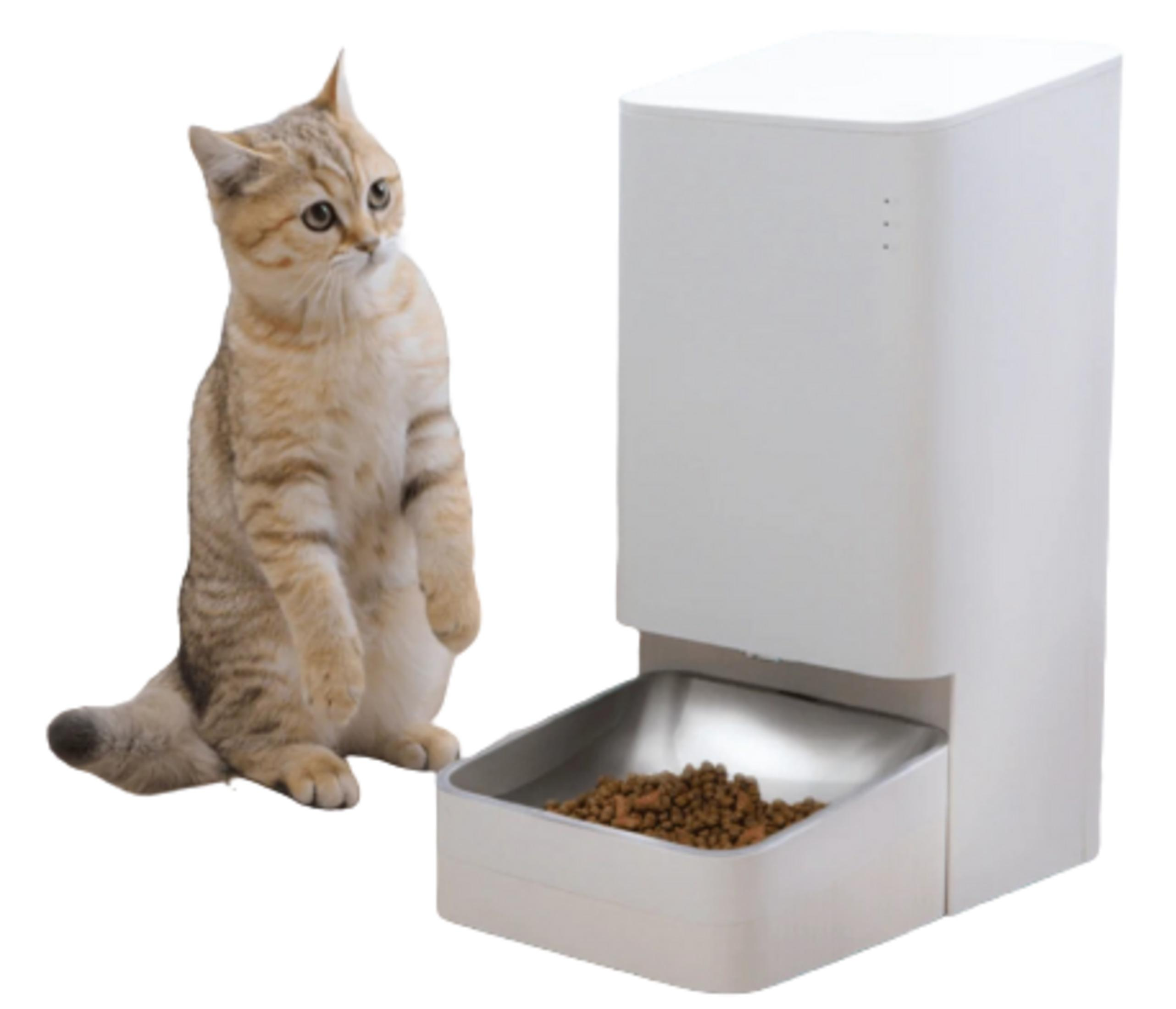 Un gato atigrado se sienta junto a un comedero automático blanco con comida.