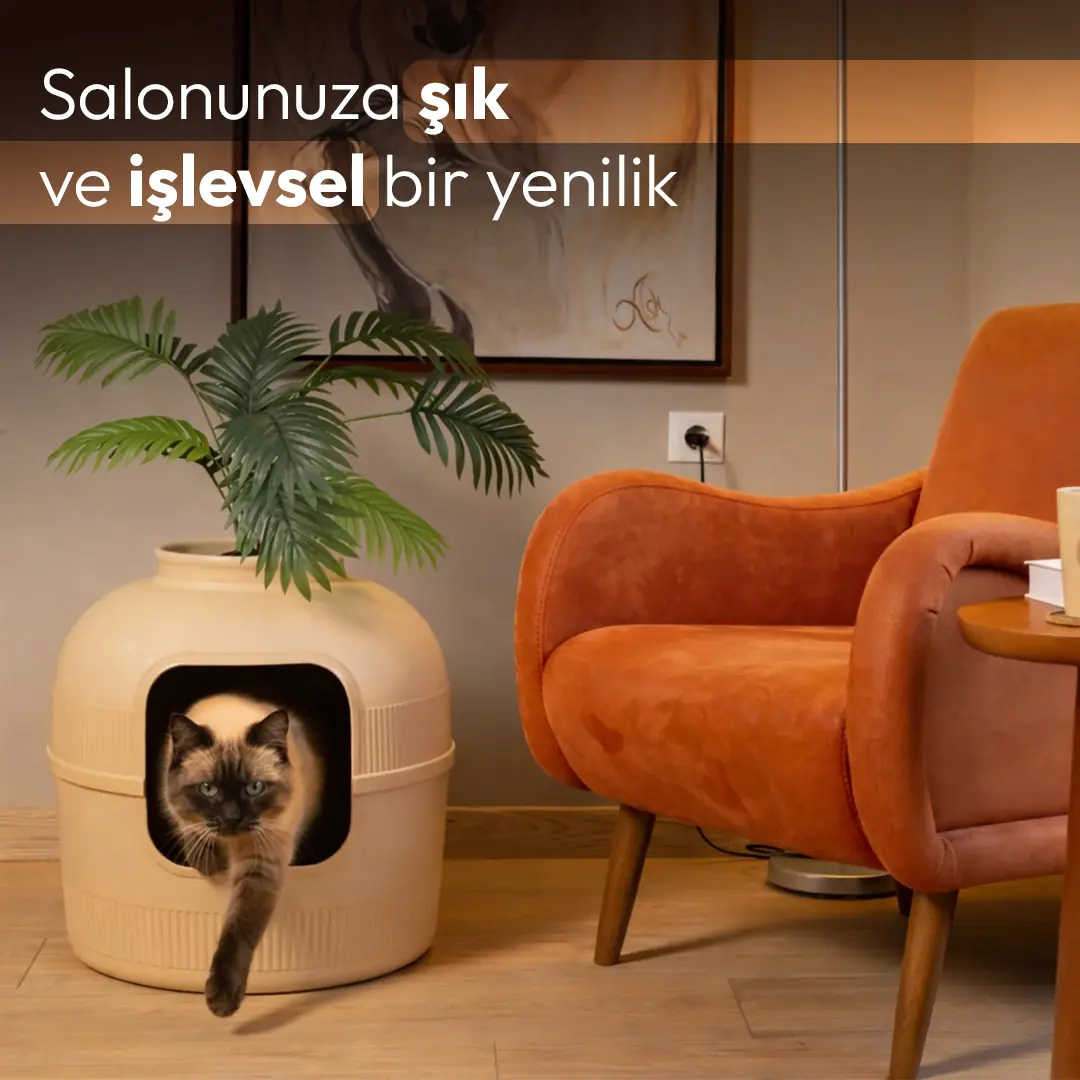 Üstünde bitki olan bej bir kedi tuvaletinden çıkan bir kedi. Yakında turuncu sandalye var.